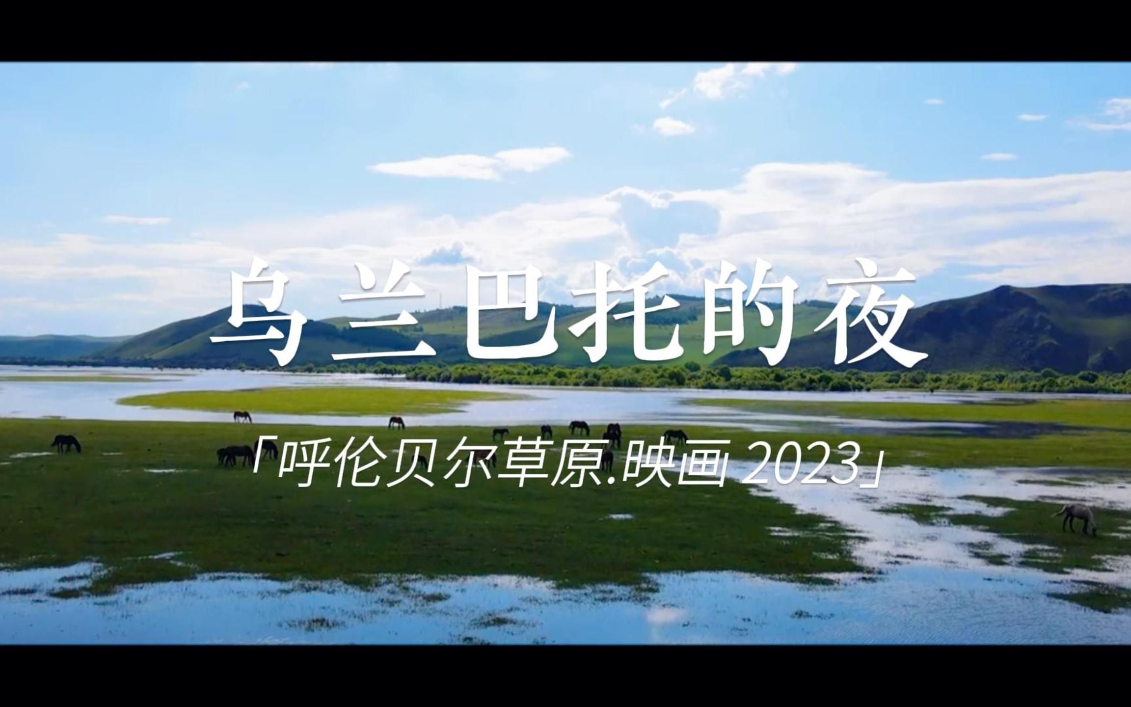 映画在线观看免费高清电视ady映画网——探索艺术与技术的完美结合