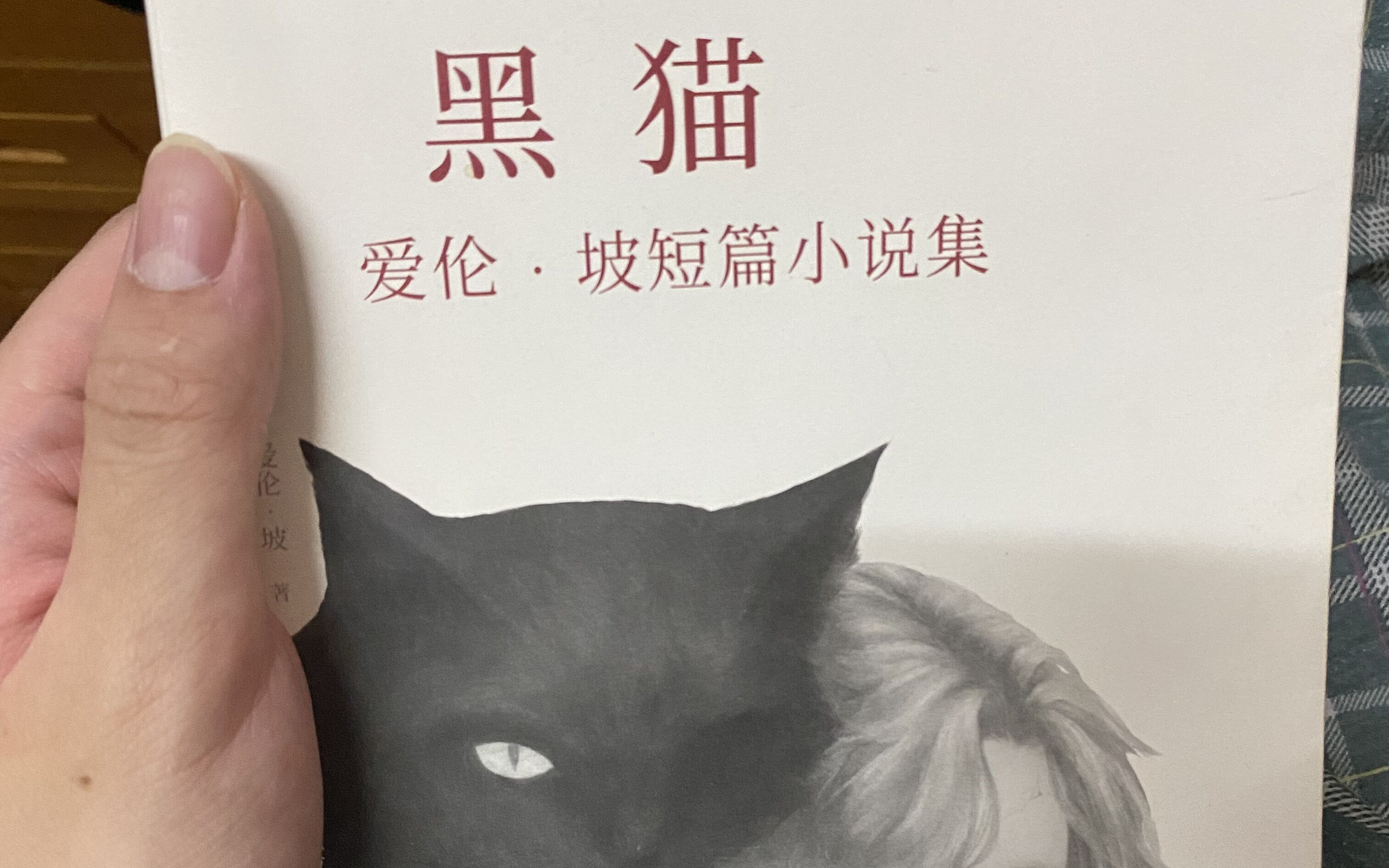 长篇乱超级好看伦小说长篇乱序，超级好看伦小说-第2张图片