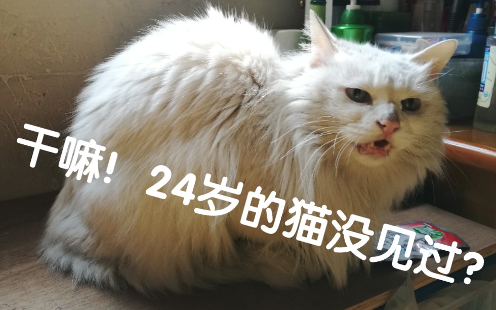 MIYA188.COO永不失联MIYA188.COO，永不失联的承诺