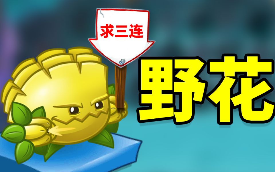 野花社区WWW中文高清版野花社区高清中文版——探索未知的在线学习与娱乐体验-第2张图片