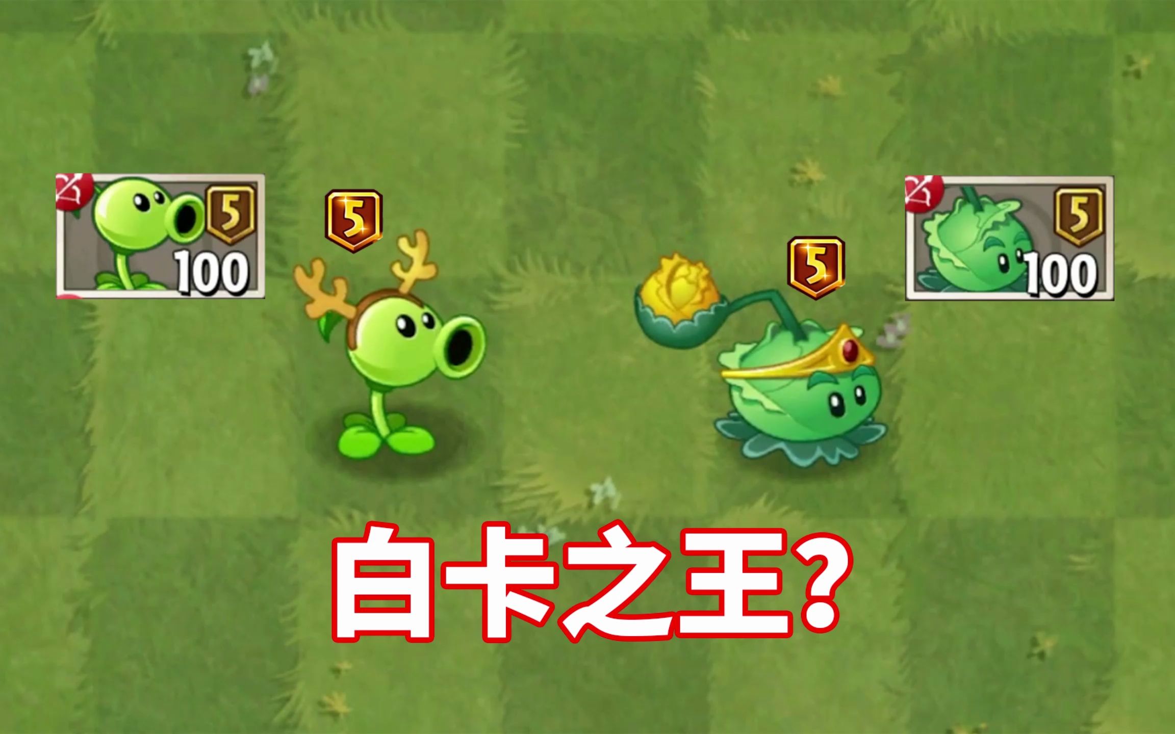 卷心菜投手卷心菜投手，植物大战僵尸的绿色英雄-第1张图片