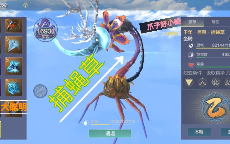 妄想山海捕蝇草的神秘踪迹——位置图详解-第2张图片
