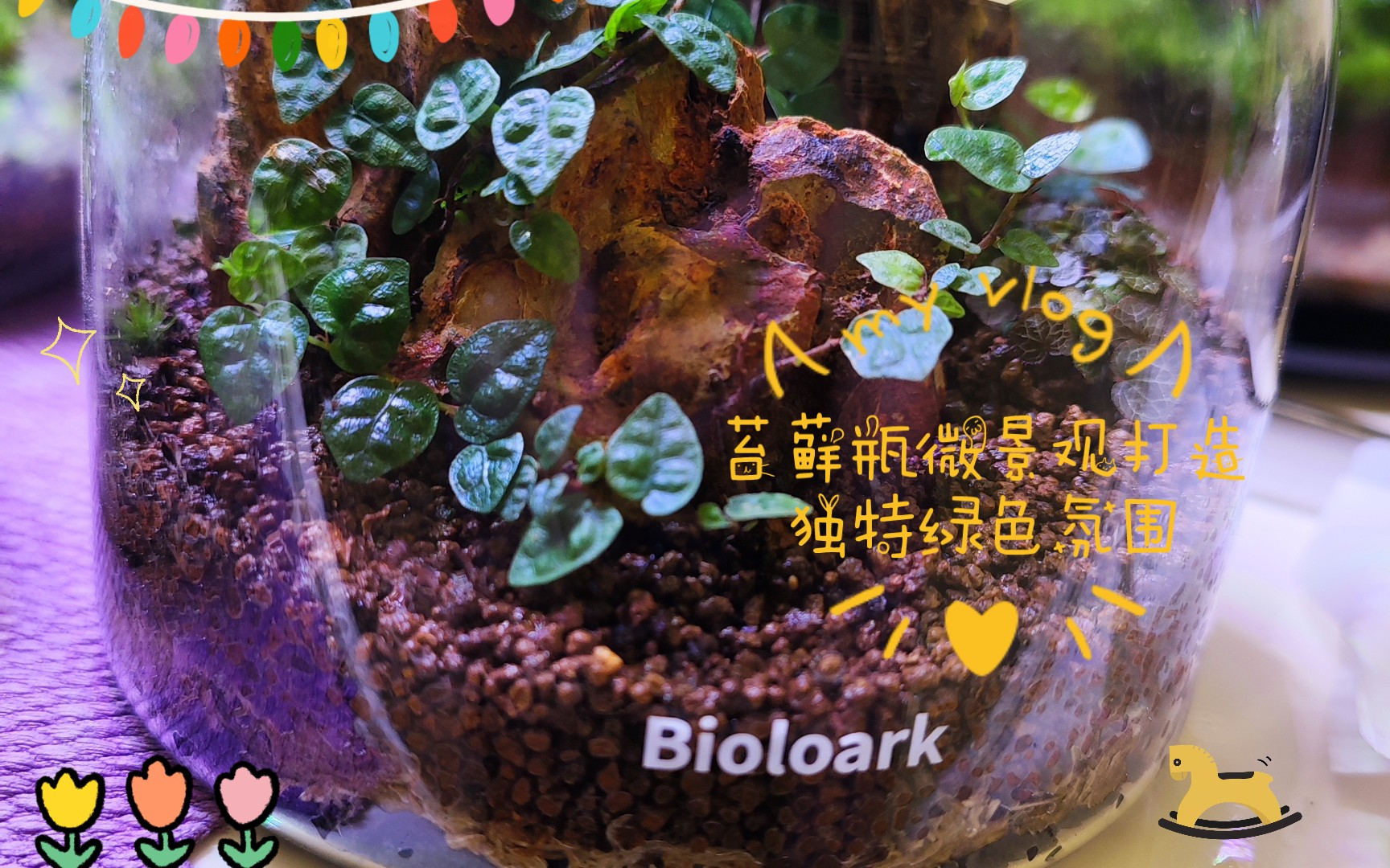 小说高校高校中的独特景观——1V3PO藤蔓的魅力-第2张图片