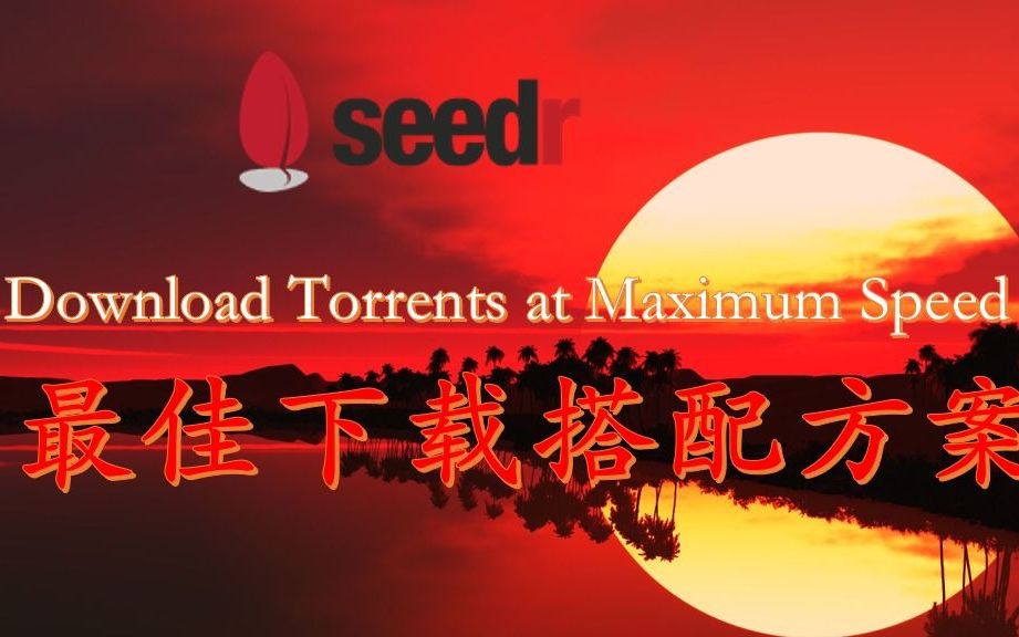 探索BT种子与蚂蚁磁力的奥秘