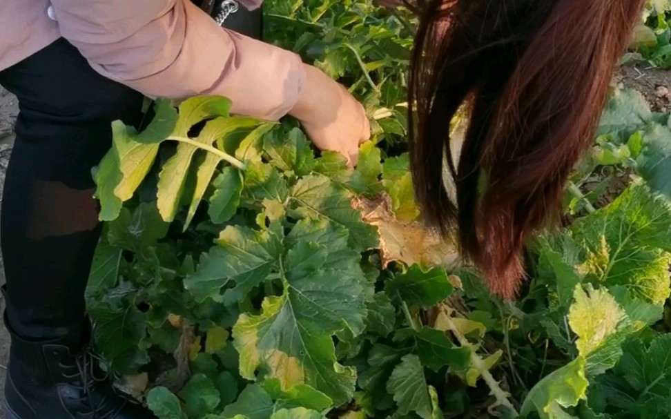 在床上拔萝卜又疼又叫痛床上拔萝卜的疼痛体验-第2张图片