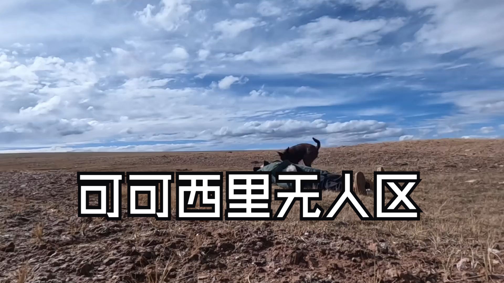 欧洲无人区中的慰藉之地