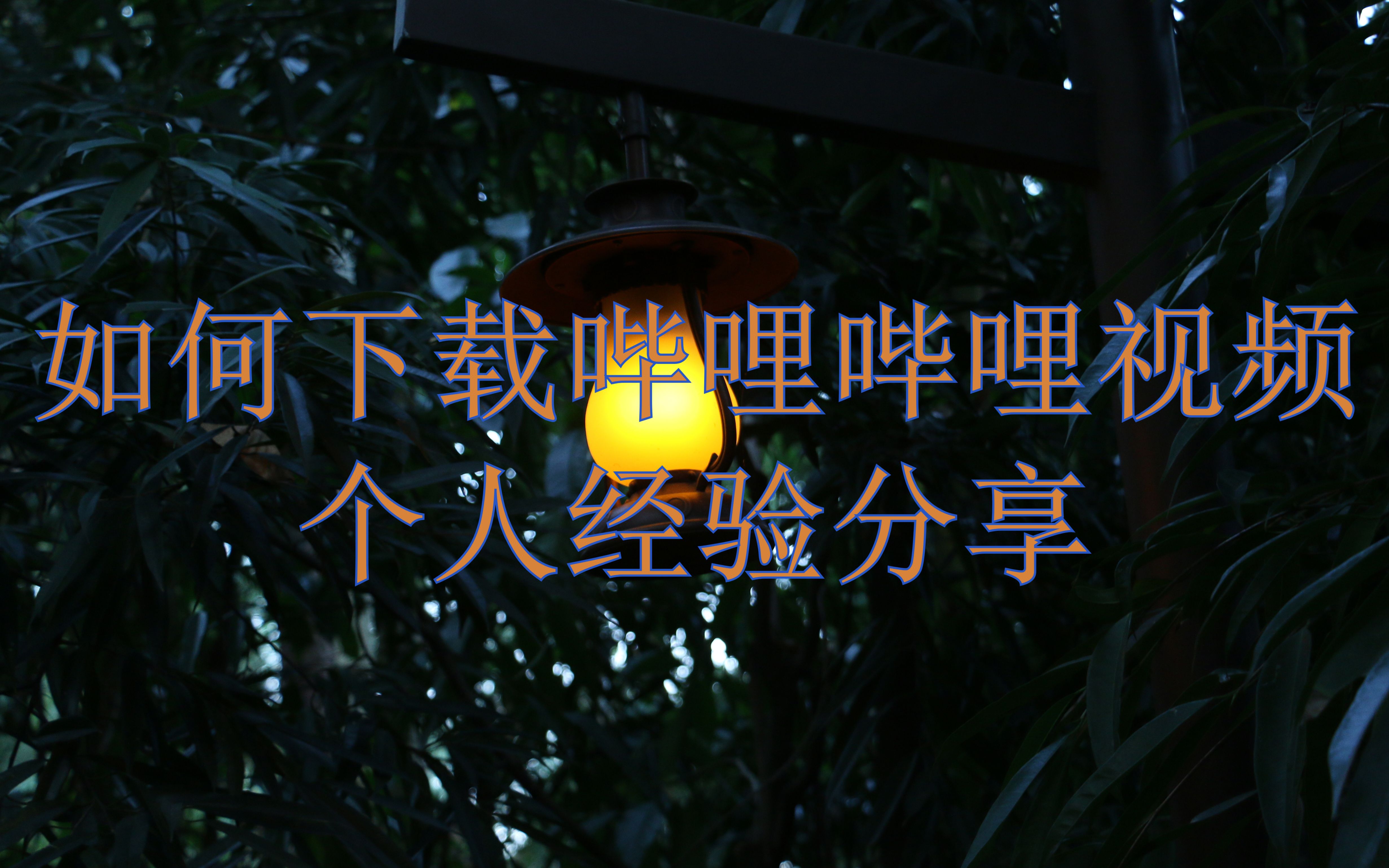 哔哩哔哩污无限制免费下载哔哩哔哩内容下载，无限制免费下载的探索-第2张图片