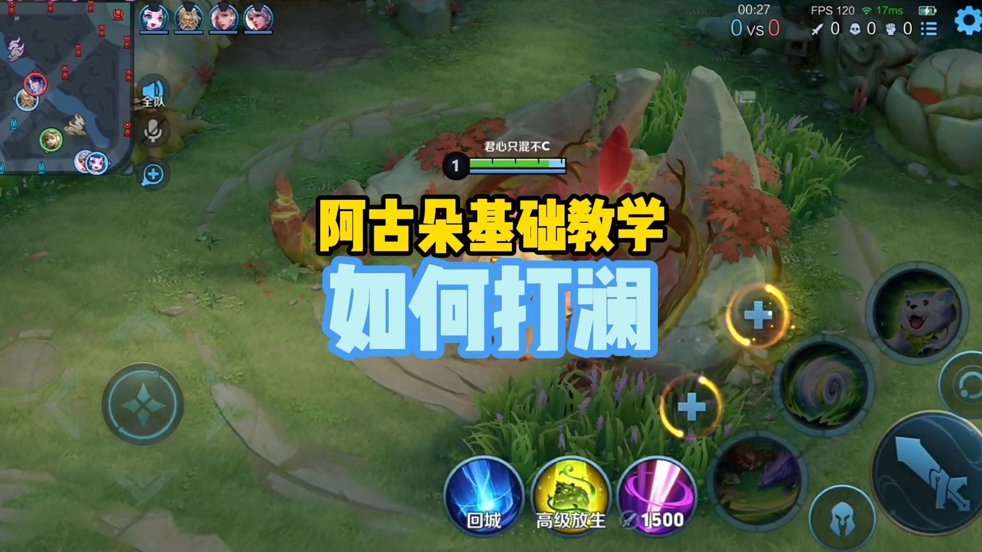 阿古朵怎么放生阿古朵的智慧，如何正确进行放生
