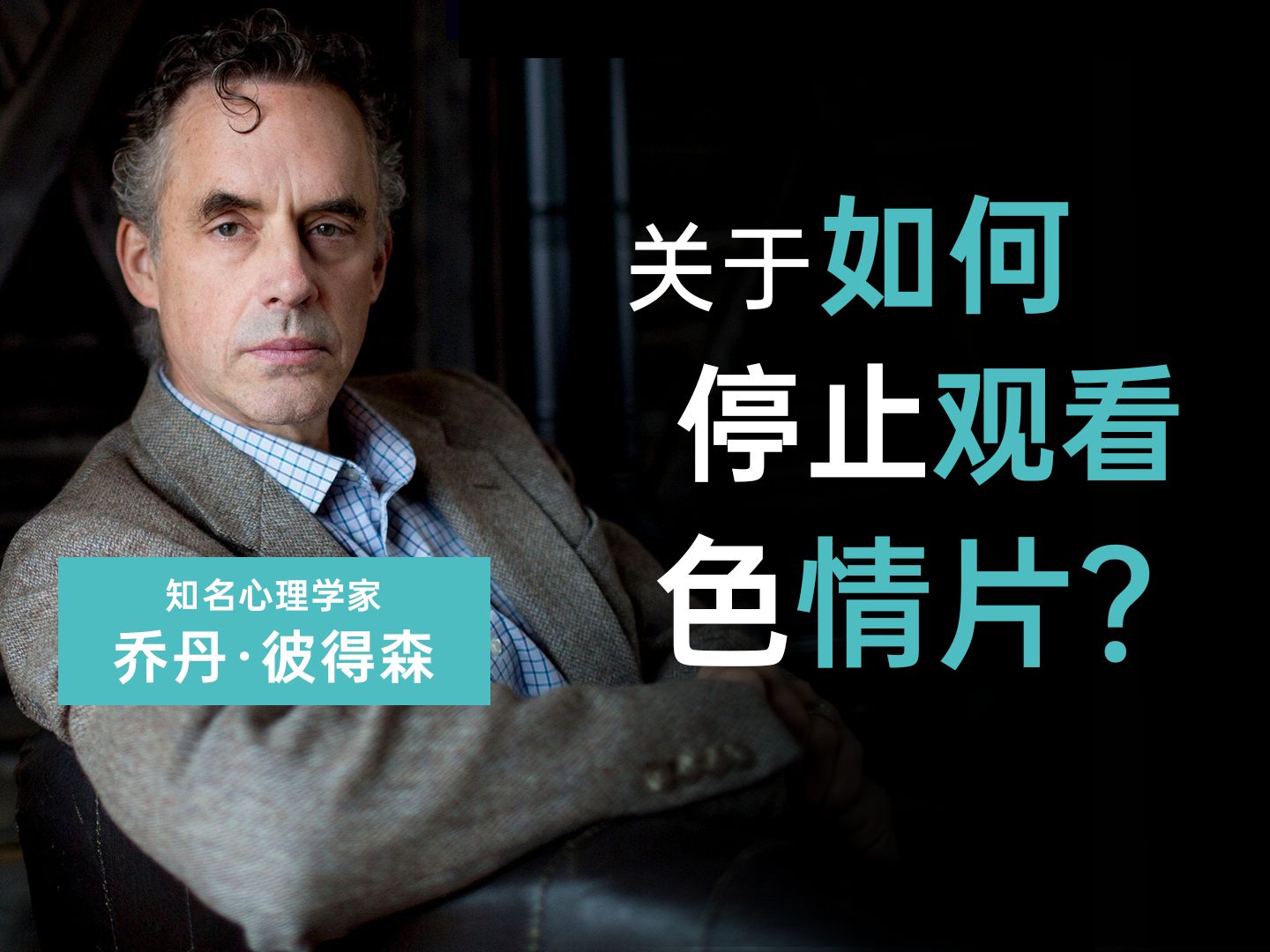 十大色情片十大色情片，揭秘背后的影响与警示