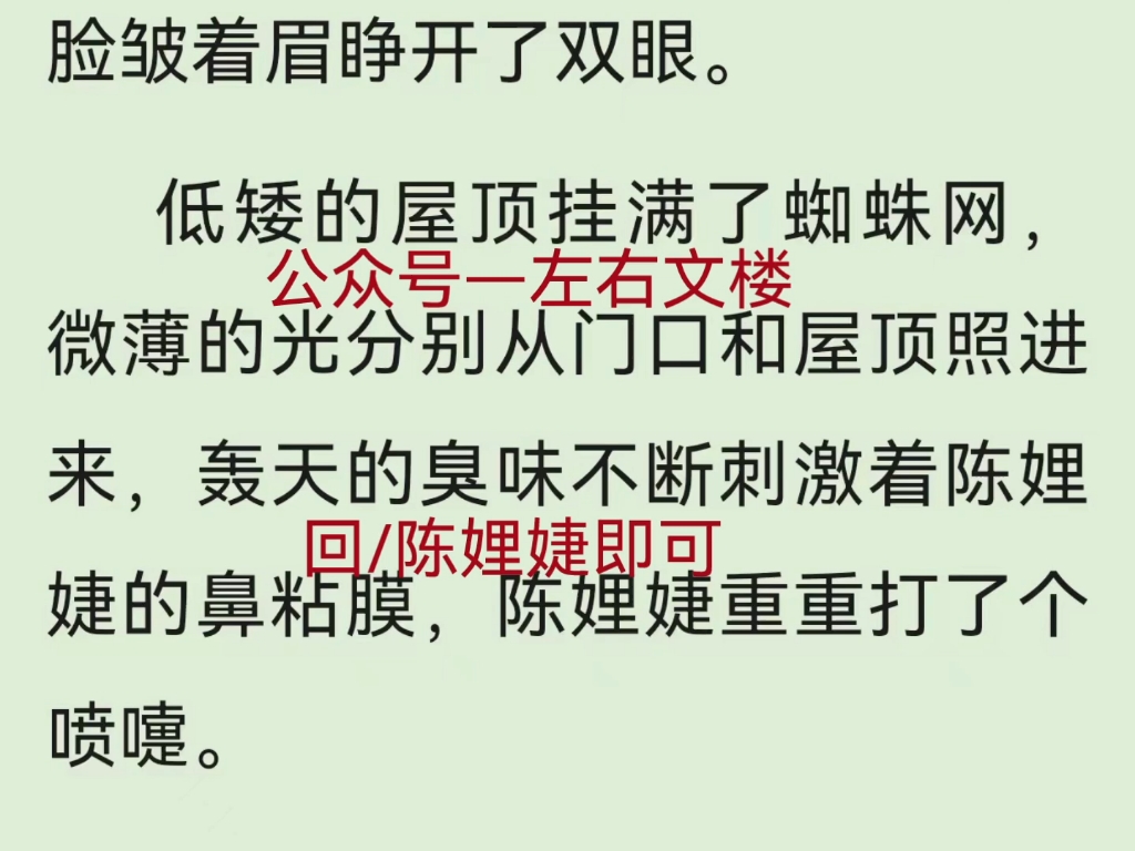 处破小婕子的第一次 小说处破小婕子的第一次-第2张图片