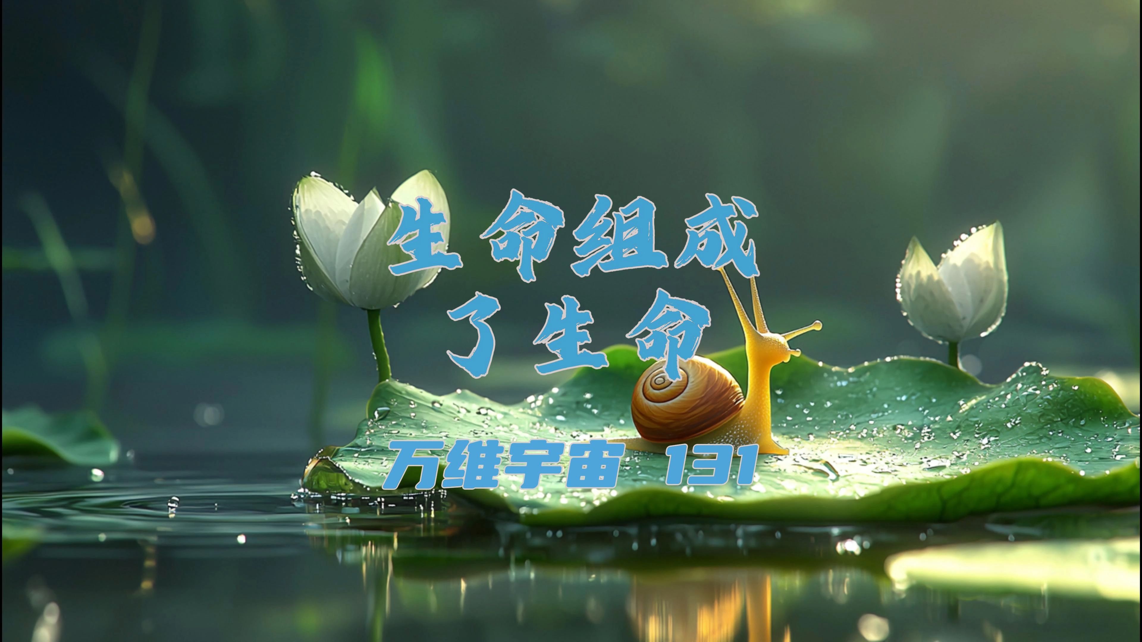 万灵启源，探寻生命之源的奥秘-第2张图片