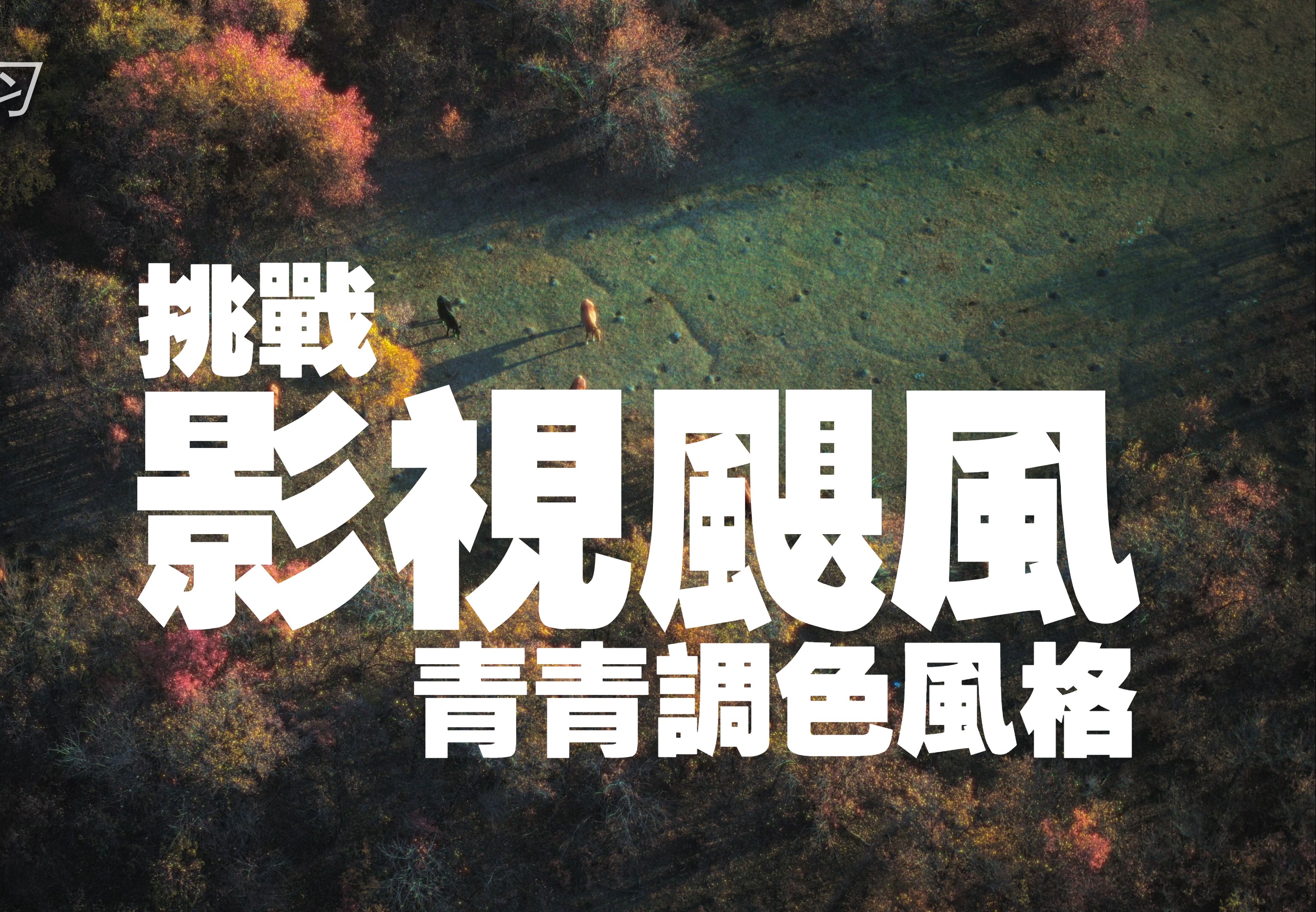 色青片大全电影网站探索色青片大全电影网站-第2张图片