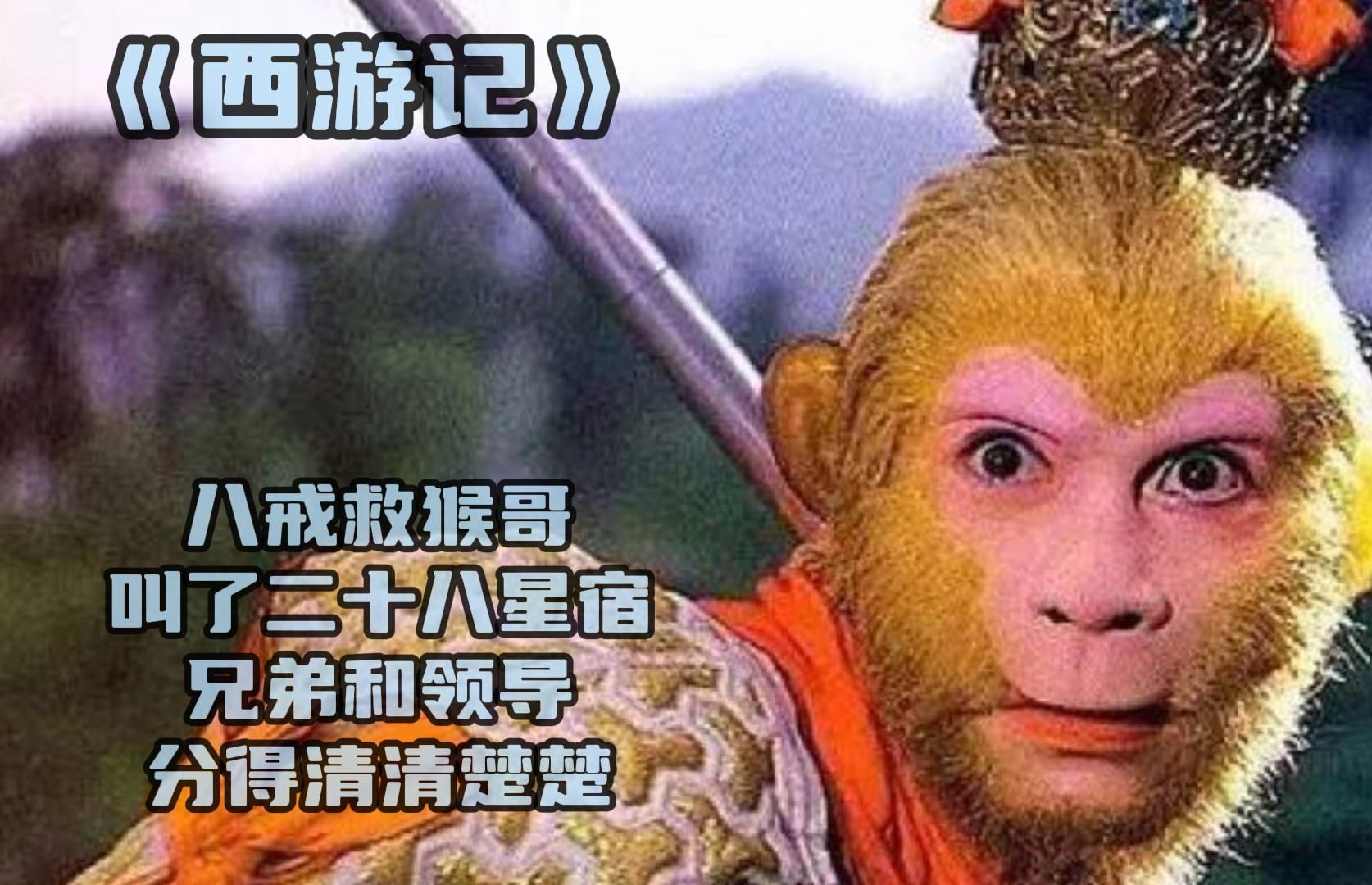 八戒八戒免费观看WWW八戒影视资源免费观看指南