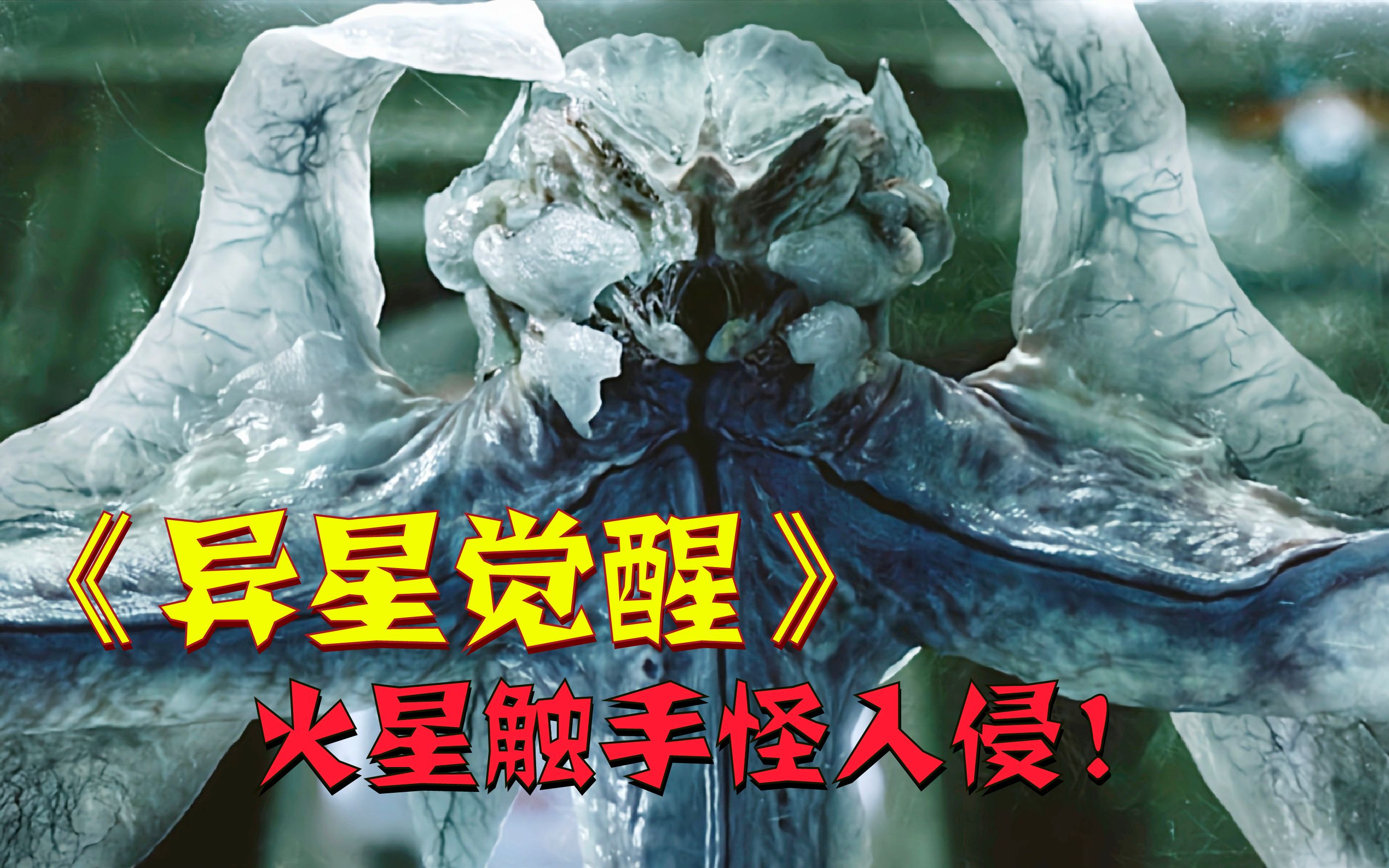被触手怪入侵身体怀孕触手怪入侵，身体内的异变怀孕之旅