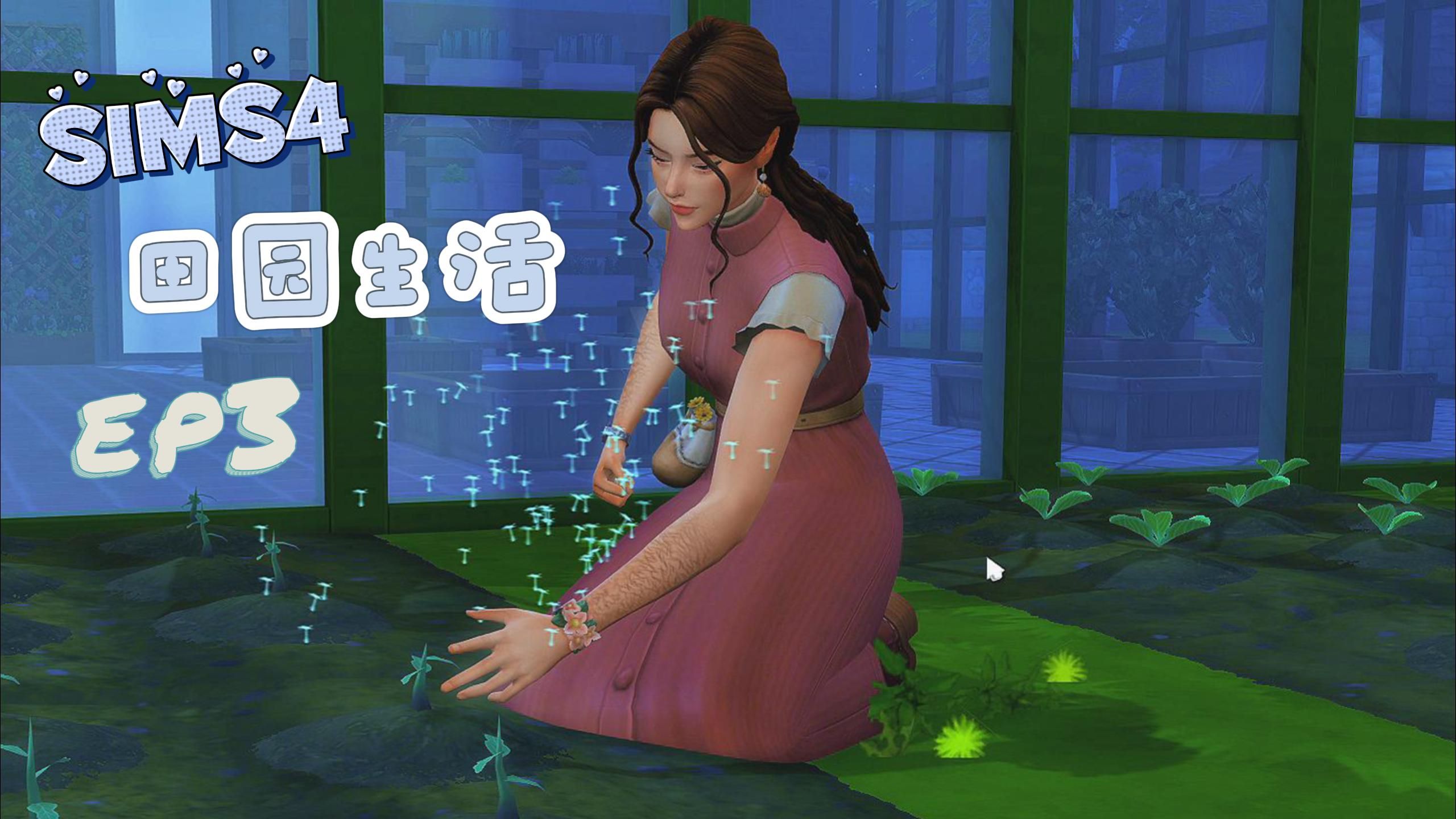 模拟人生类小游戏模拟人生类小游戏，探索虚拟世界的无限可能
