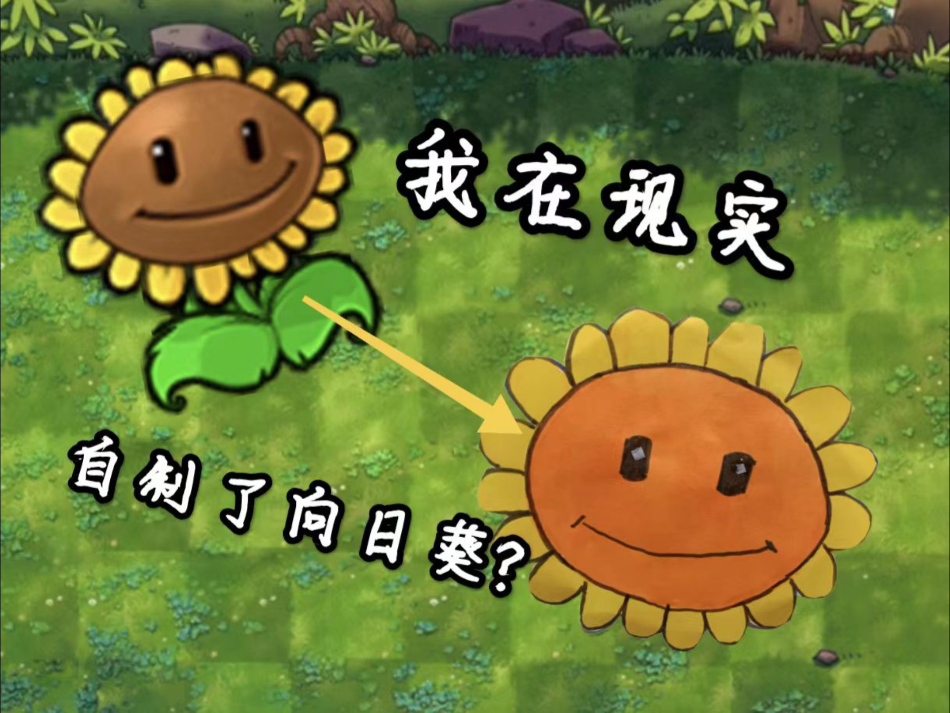 向日葵与幼犬的7天向日葵与幼犬的七天奇遇-第2张图片