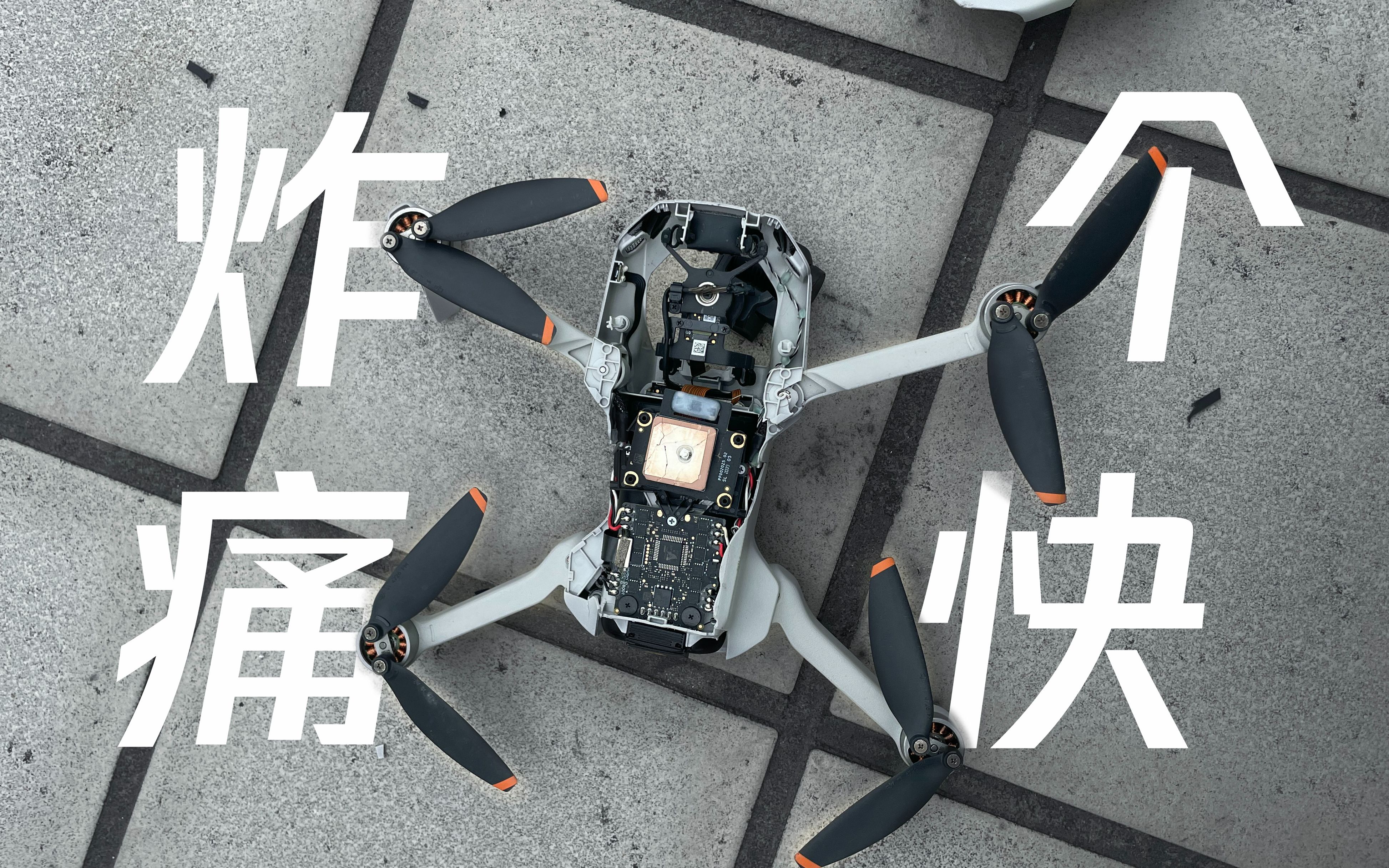 我想看无人无人视频在线观看，免费播放、下载与探索-第2张图片