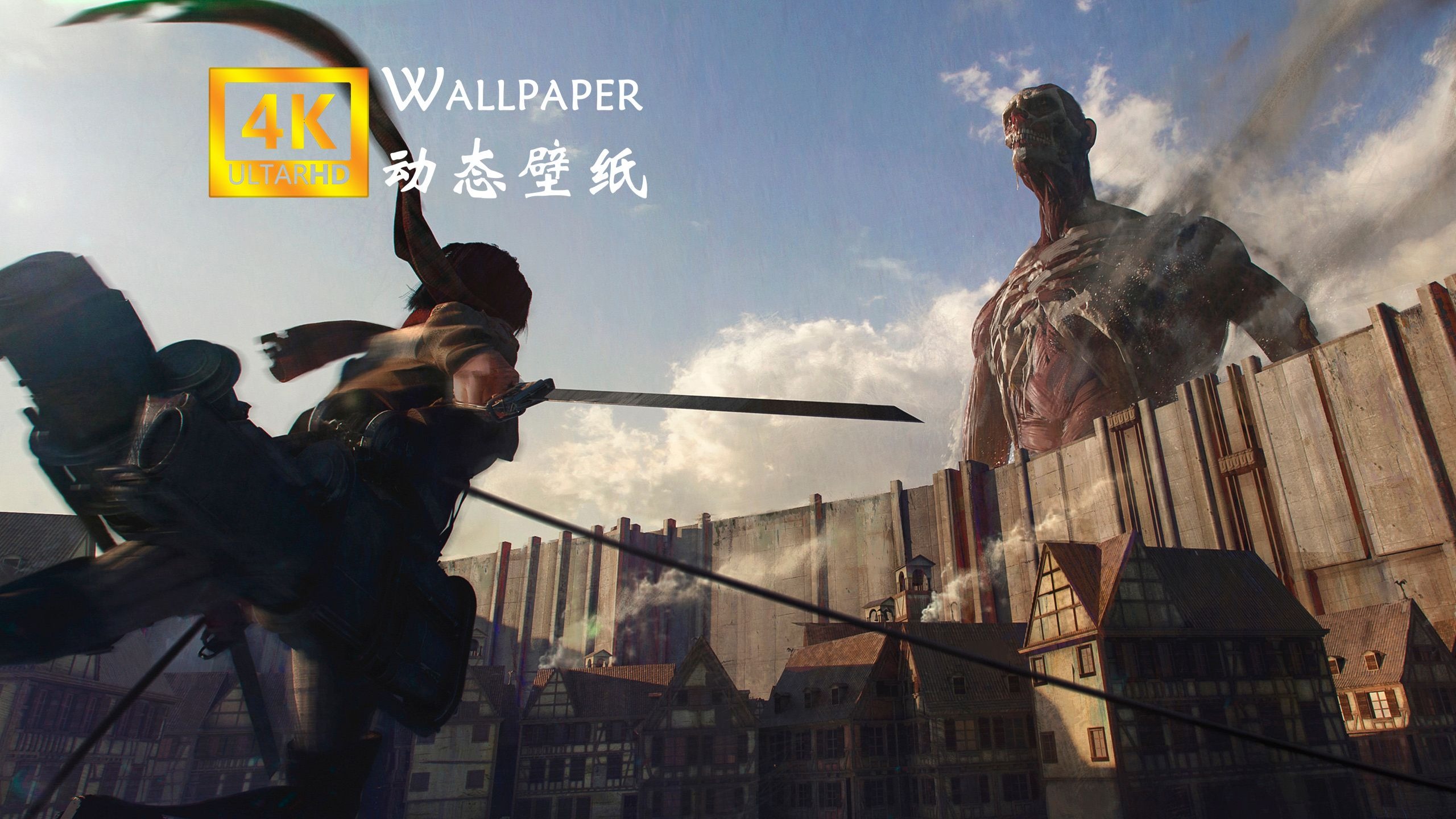 wallpaper壁纸显示不出来壁纸的魅力与选择-第1张图片