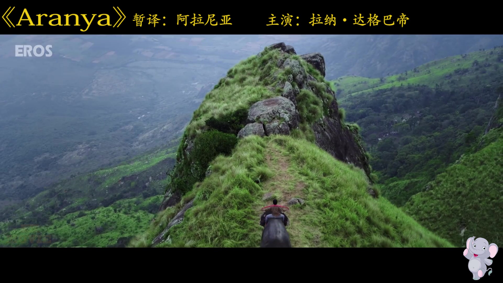 大象影视传媒制作公司的崛起与影响-第1张图片