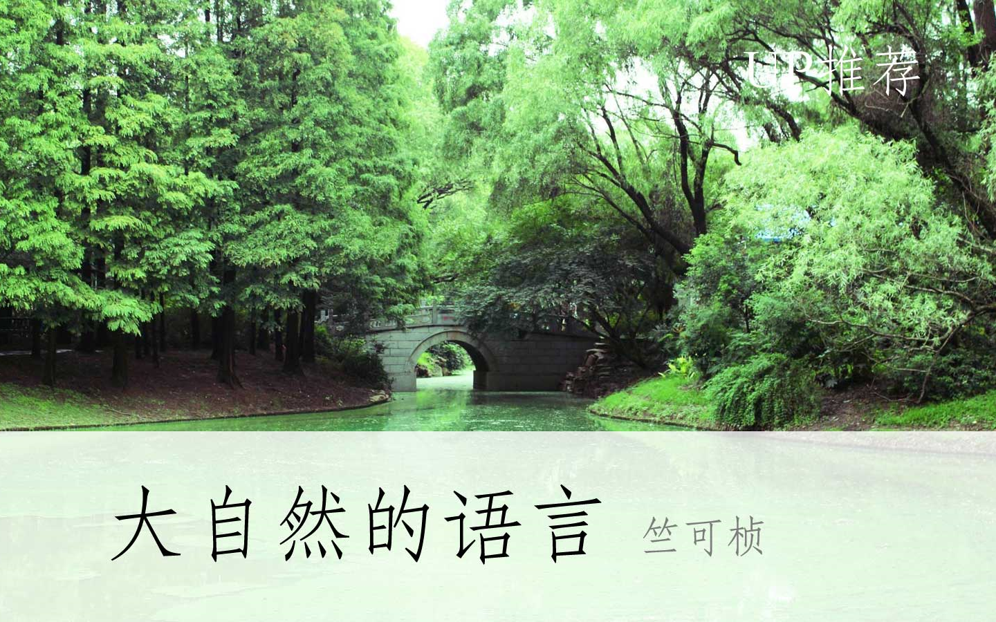 yw.193. can优物探索YW.193与优物的独特魅力-第2张图片