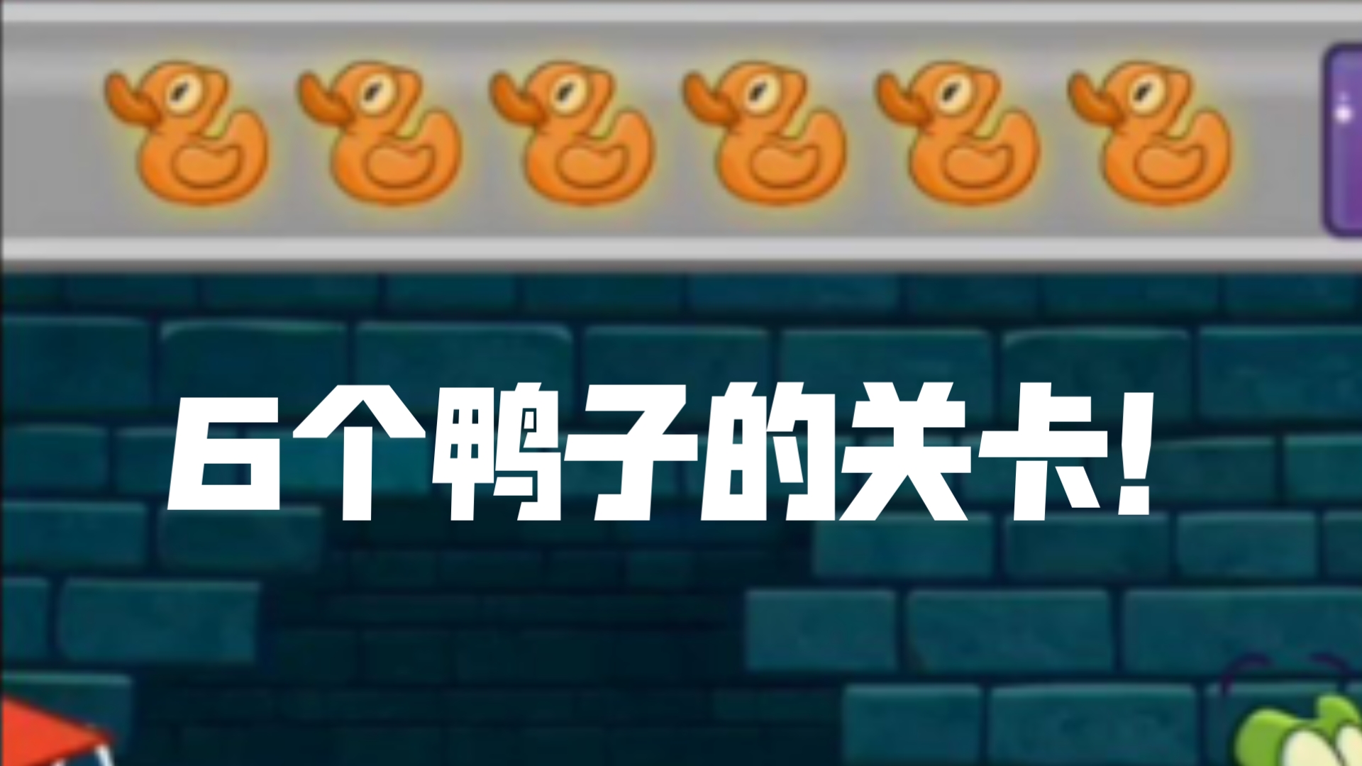 小鳄鱼爱冲凉，夏日清凉攻略-第1张图片