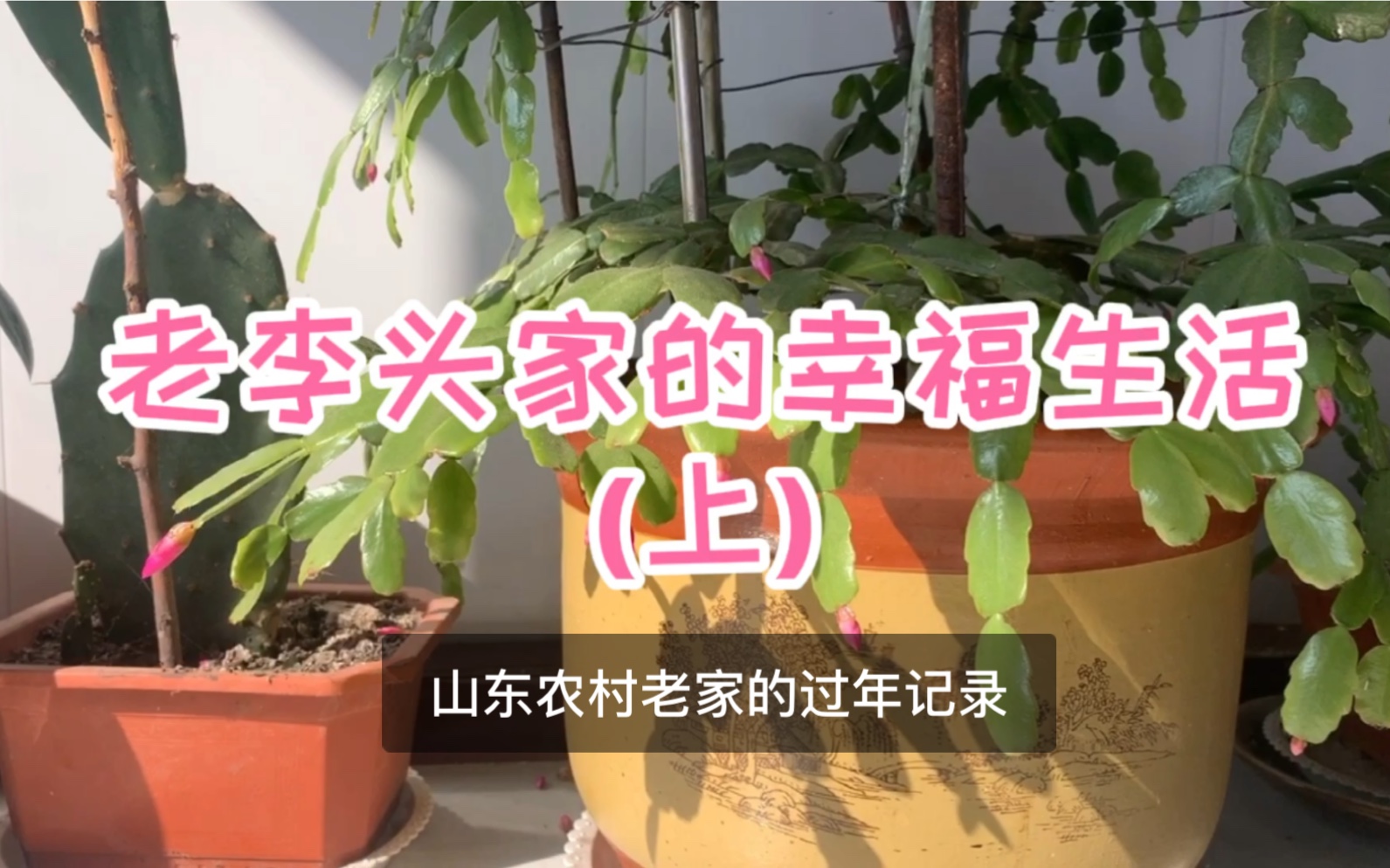 老李头的幸福晚年