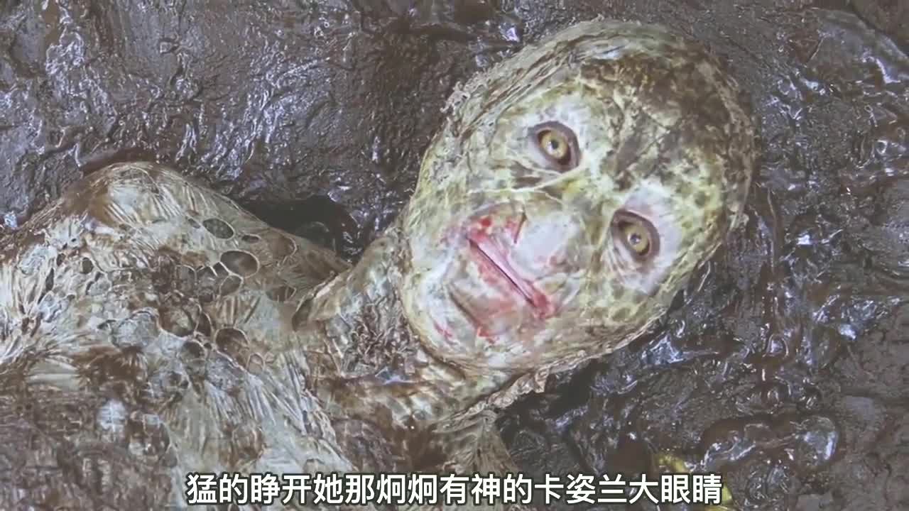泰国电视剧欲蛇欲蛇下载，探索未知的数字世界