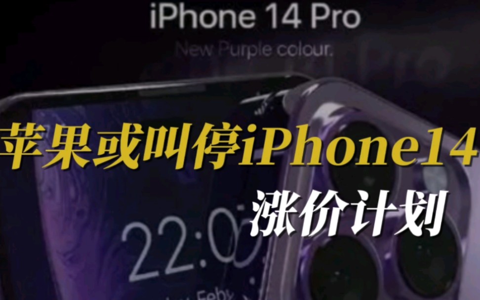 苹果或叫停iphone14涨价计划苹果公司或叫停iPhone 14涨价计划，消费者权益的守护与市场策略的调整-第2张图片