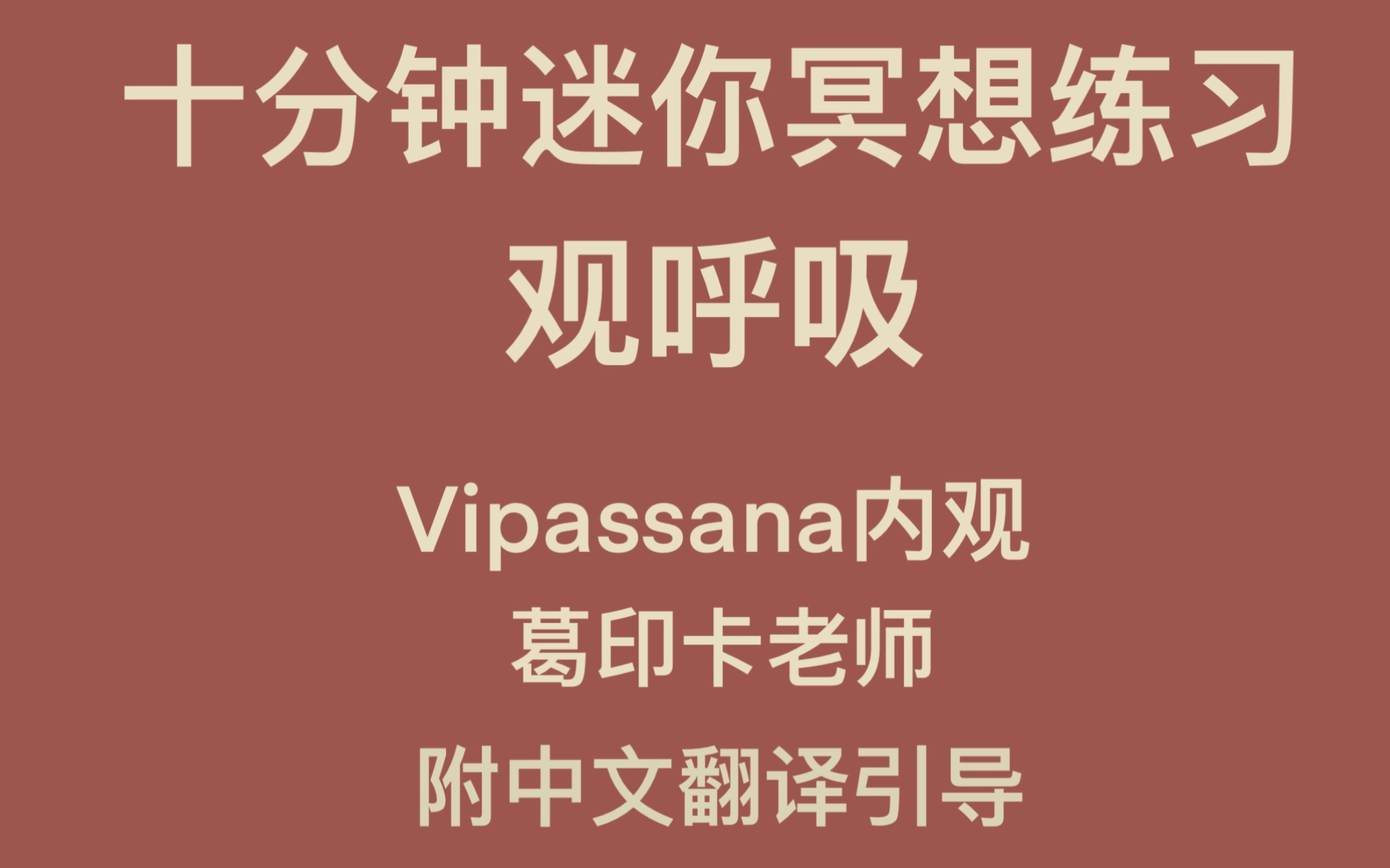 十分钟免费观看视频大全，探索无限精彩世界