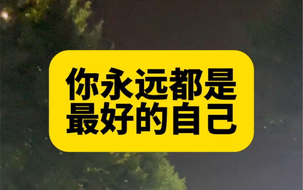 永远的品色堂——传承与辉煌的交织
