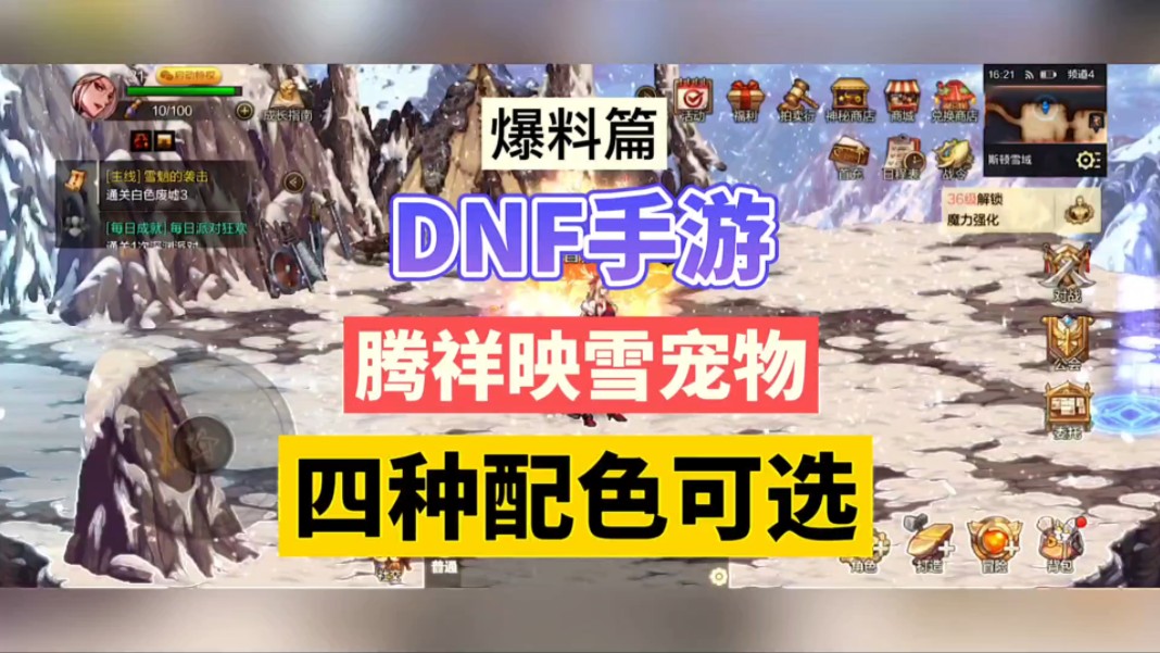 dnf宠物卡片DNF卡宠物，探索游戏中的独特魅力
