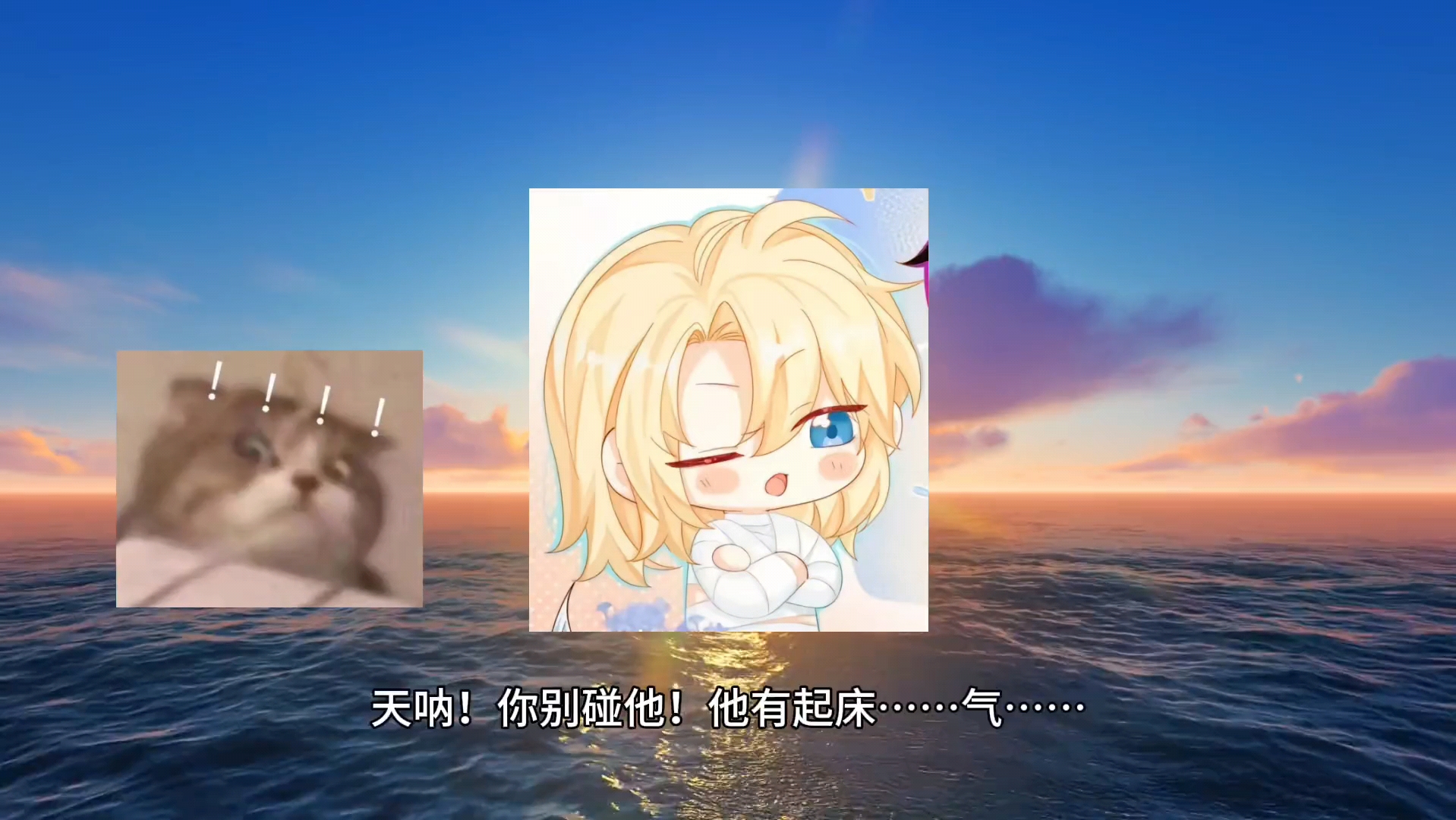我的兔子好软水好多在线视频我的兔子与柔软水世界——探索免费视频的乐趣