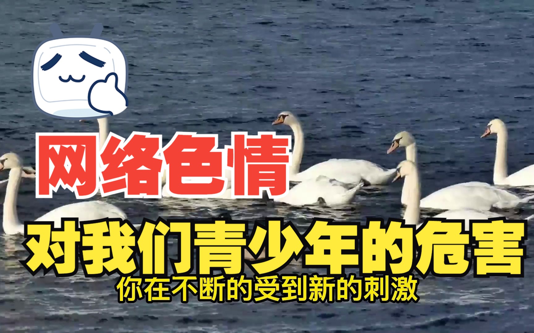 色情内容对青少年健康成长的危害