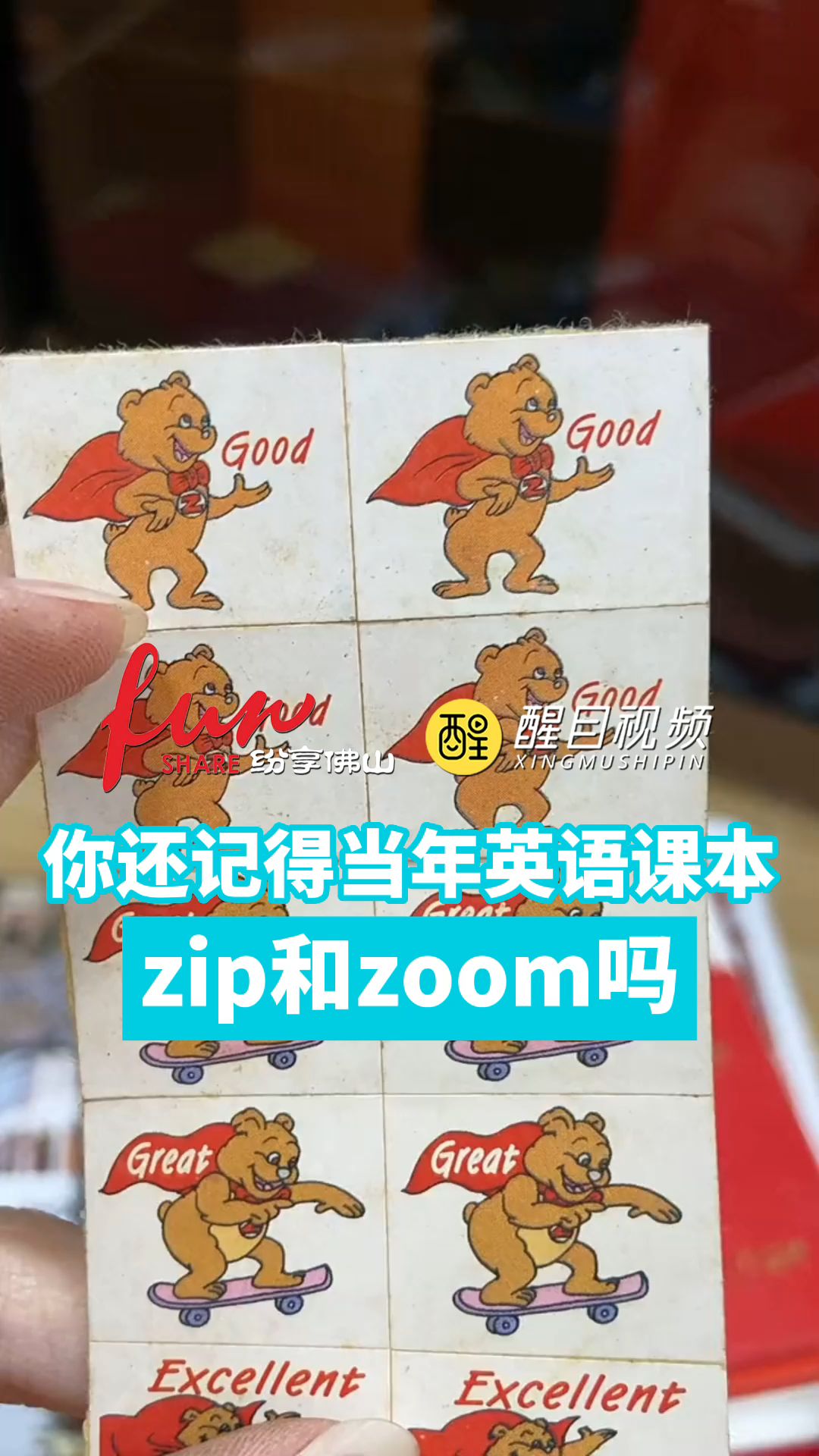 最新美国ZOOM动物_欢迎你最新美国ZOOM动物，欢迎你的到来-第3张图片
