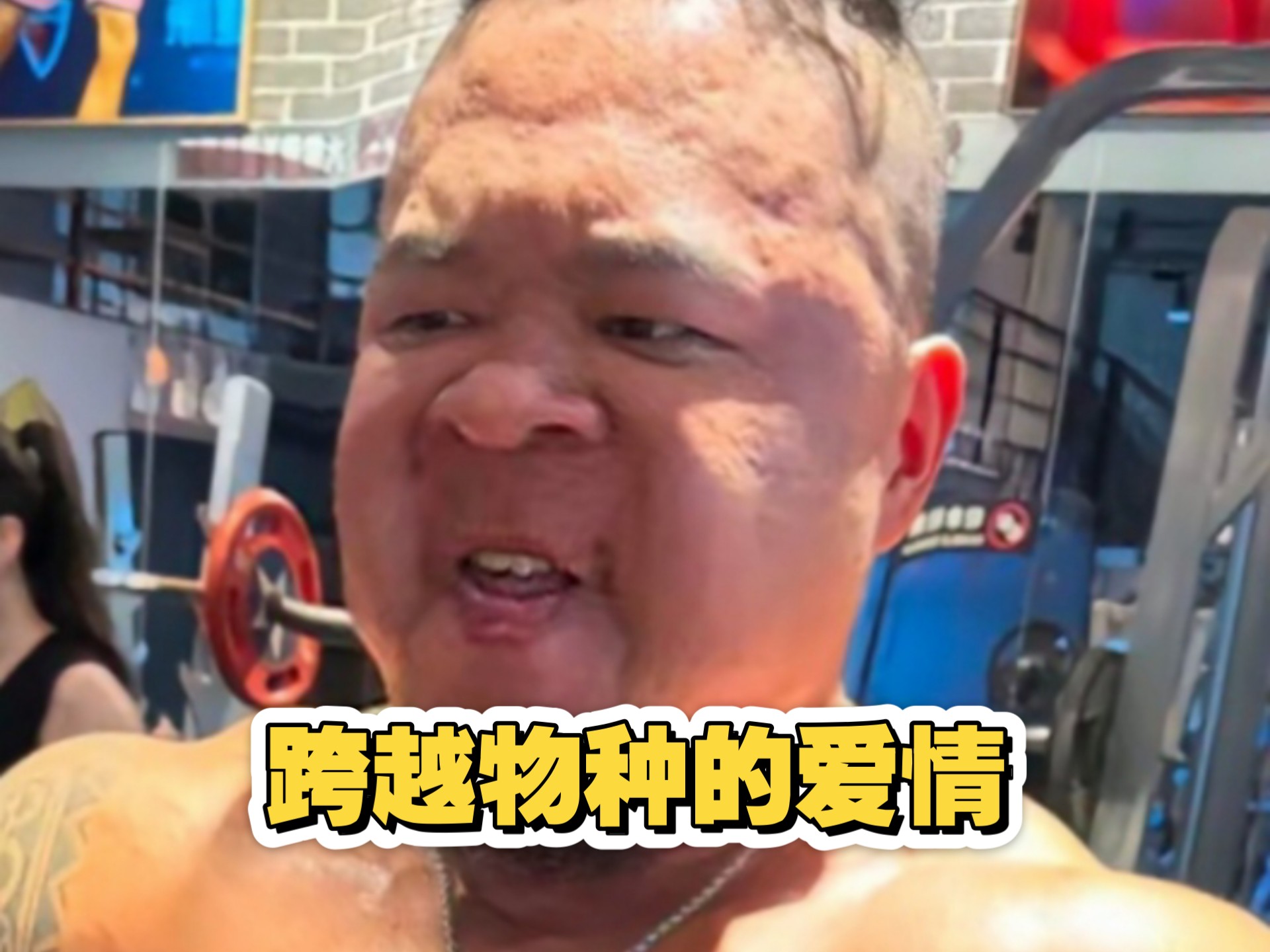 左手狼兄 右手狐弟左手狼兄，右手狐弟——一段跨越物种的传奇情谊-第1张图片