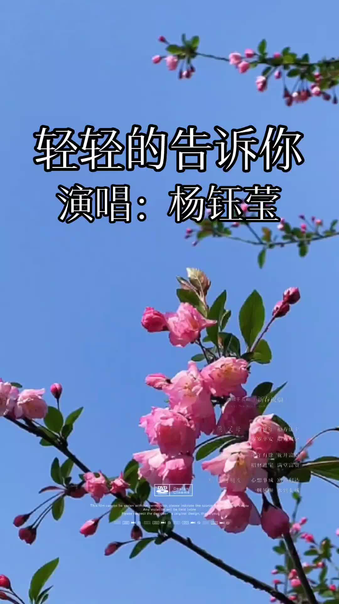 少年啊，房东太太的旋律——音乐背后的故事-第2张图片