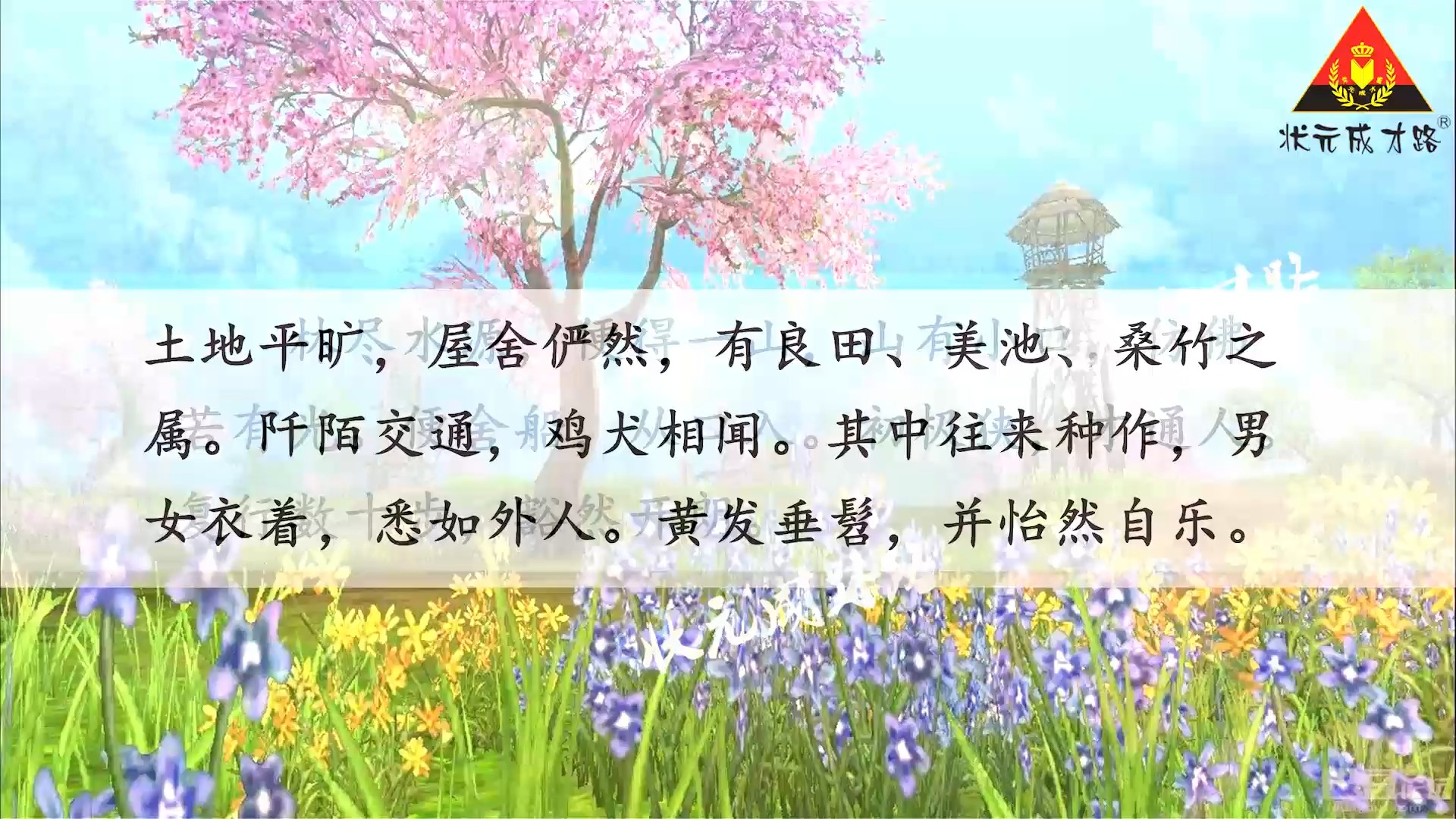 母亲的桃花源