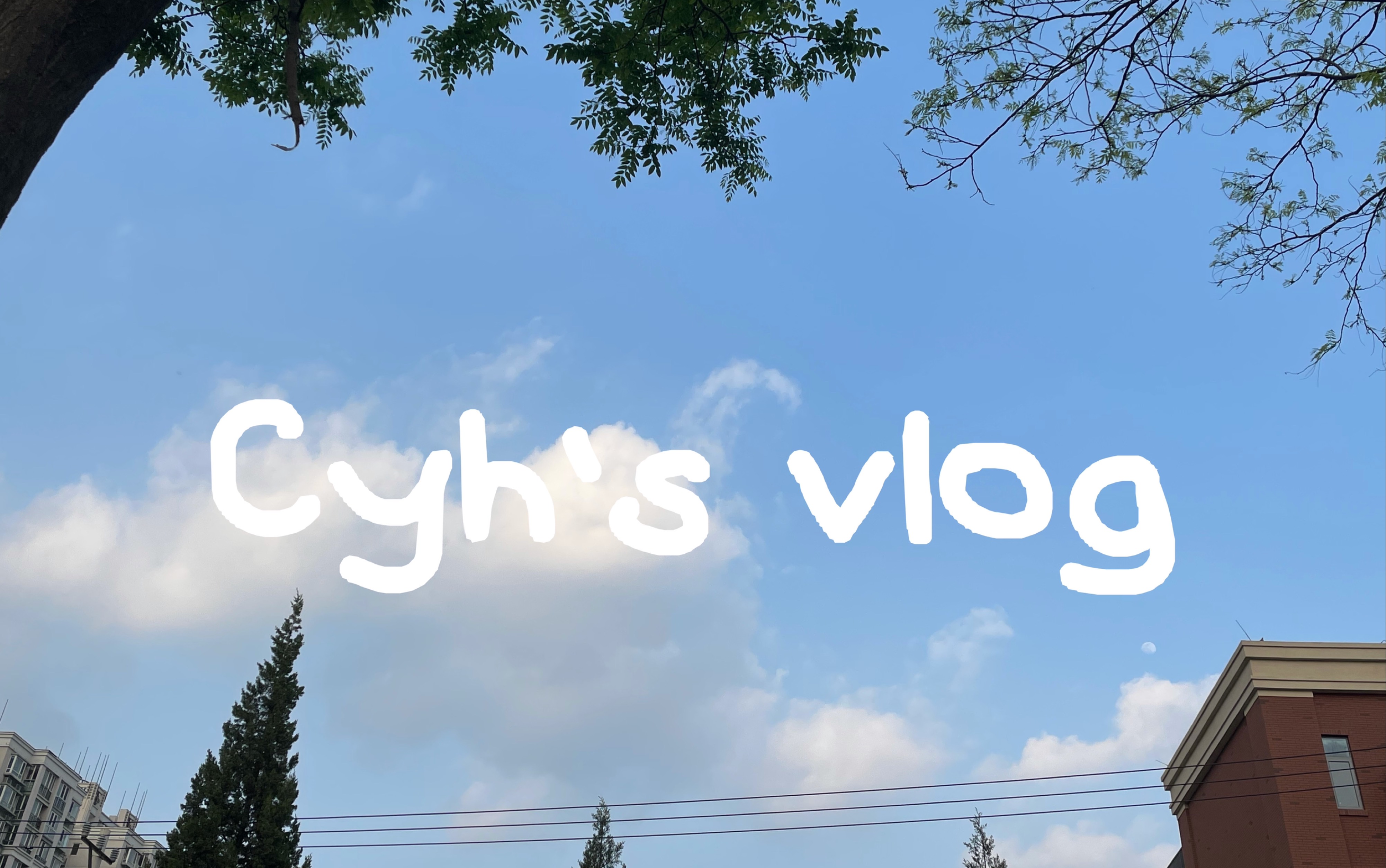 探索糖心Vlog免费网页版，便捷观看、乐趣无穷的在线视频体验