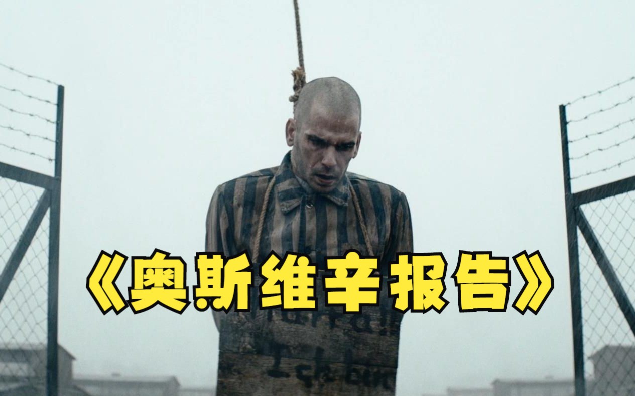 真实战争真实战争的残酷与反思-第3张图片