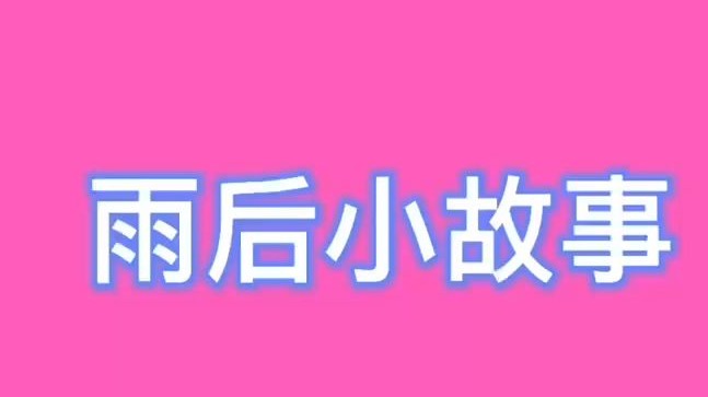 雨后的小故事微信图片雨后小故事——闪图中的微妙瞬间-第2张图片