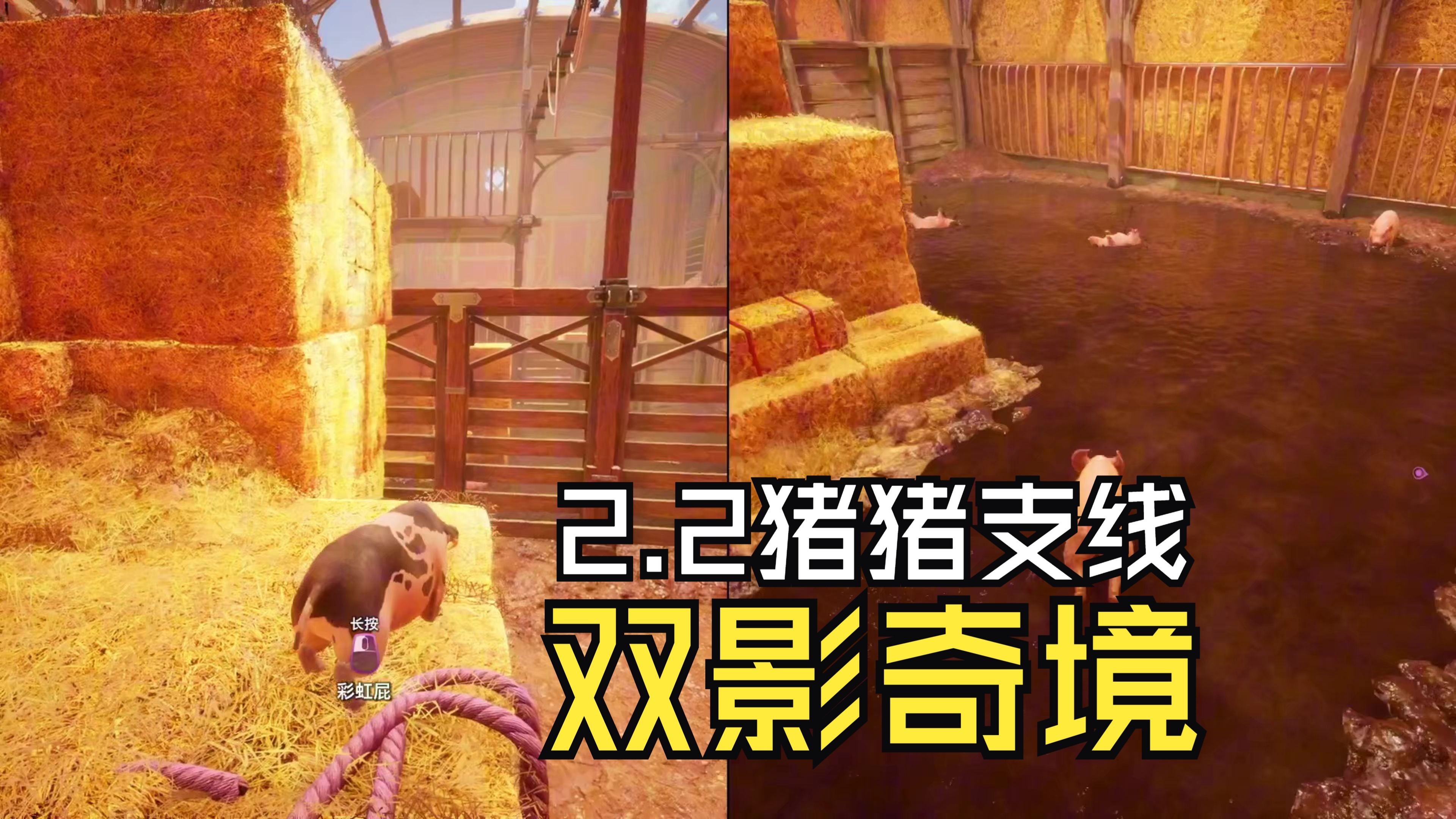 高清视角下的奇妙探索，人与猪的细长特征与钻头般的神秘