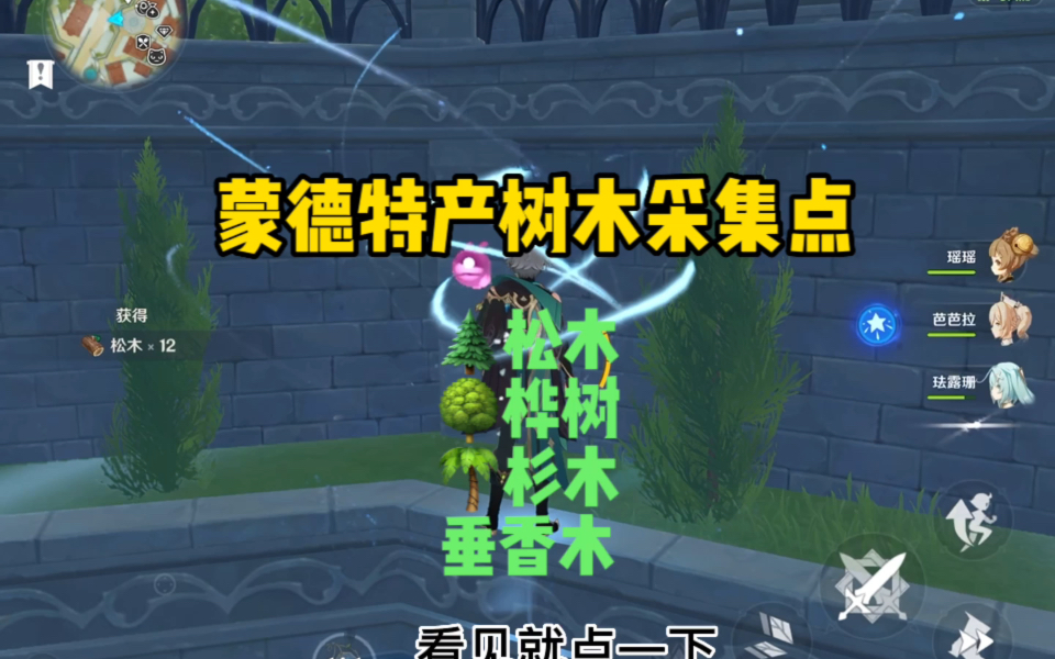 蒙德特产蒙德特产，探寻与品味