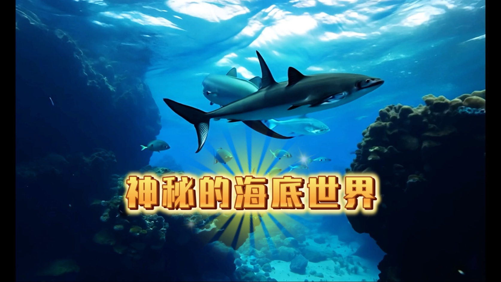 海底世界,游戏探索神秘的海底世界，海底世界游戏下载指南-第3张图片