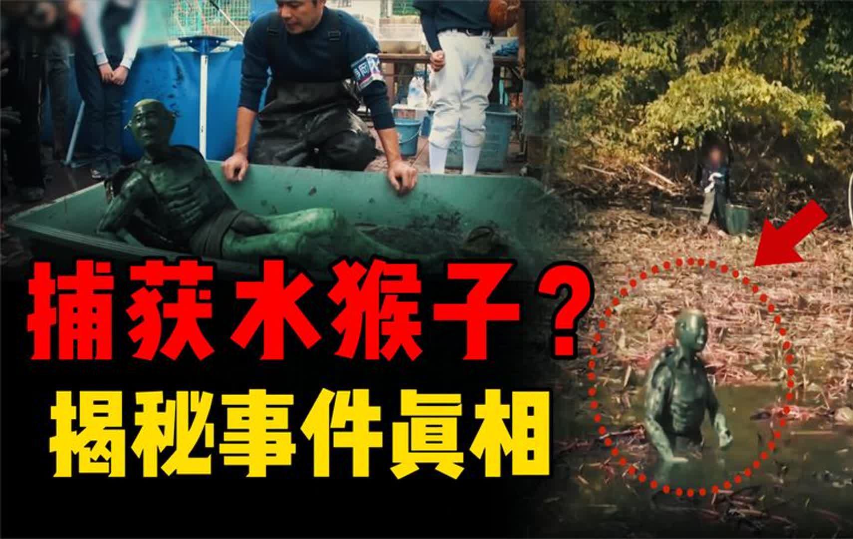 国产热门事件黑料，揭秘吃瓜网背后的故事-第2张图片