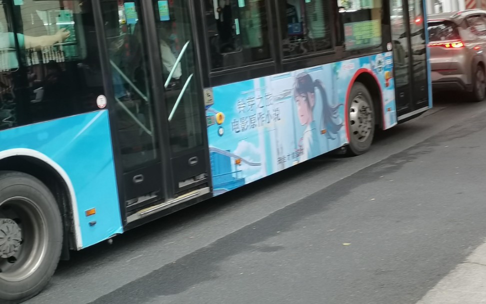 公交车之旅的意外收获，记录两个难忘的瞬间
