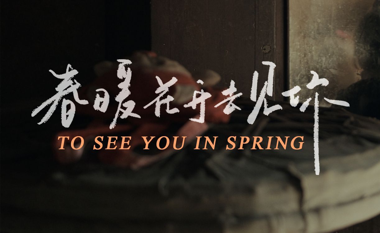春暖花开，与你共度美好时光