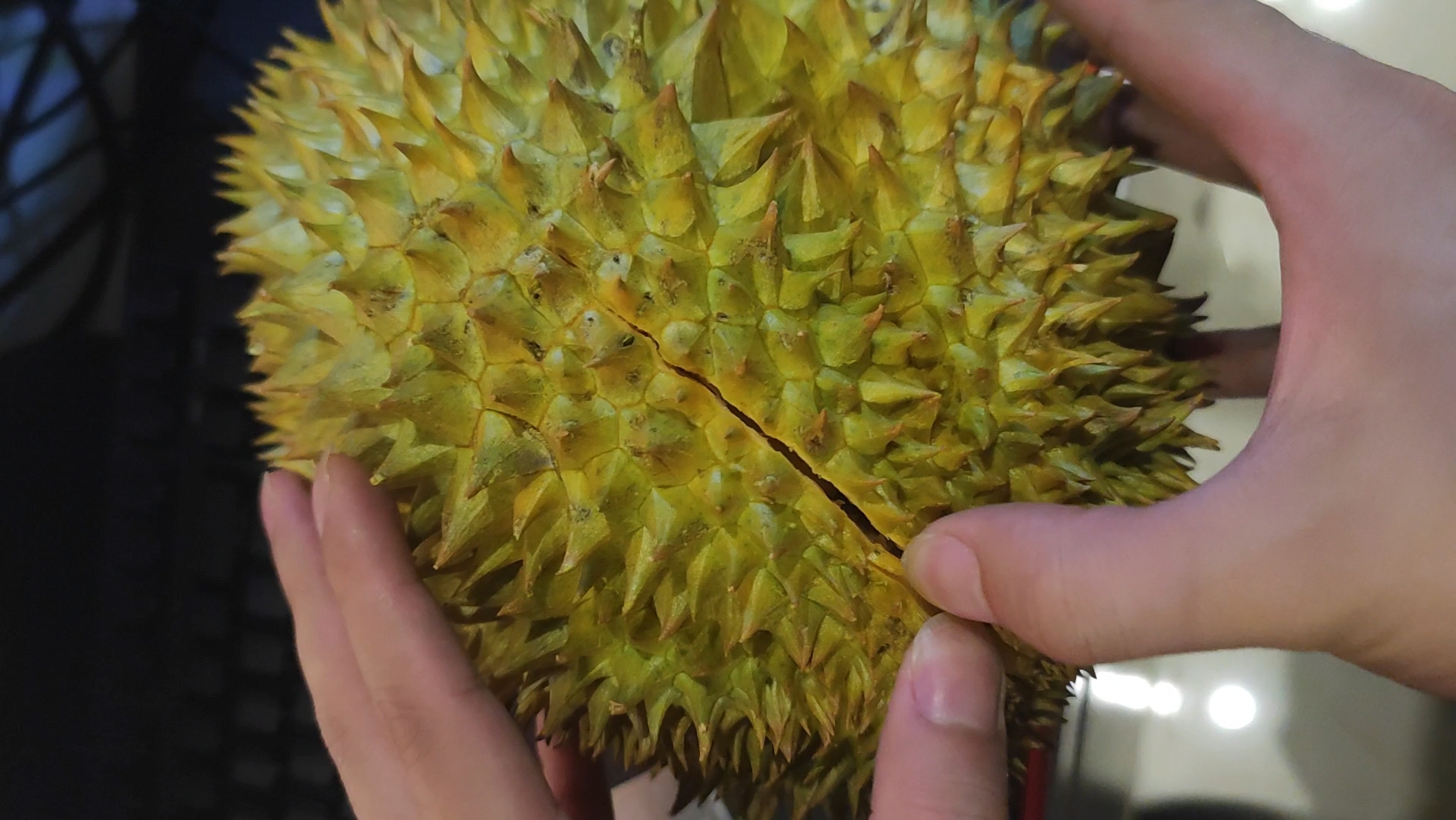 榴莲视频app下载汅api免费下载旧版榴莲视频app下载与汅api免费绿巨人的探索