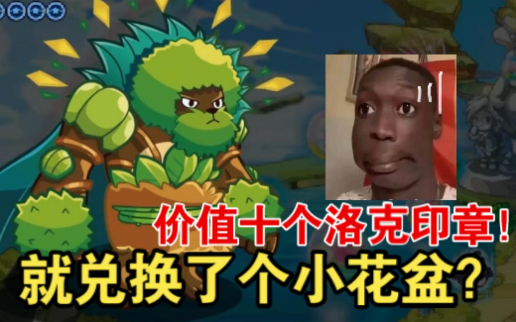 洛克王国暗夜树熊的神秘传说-第1张图片