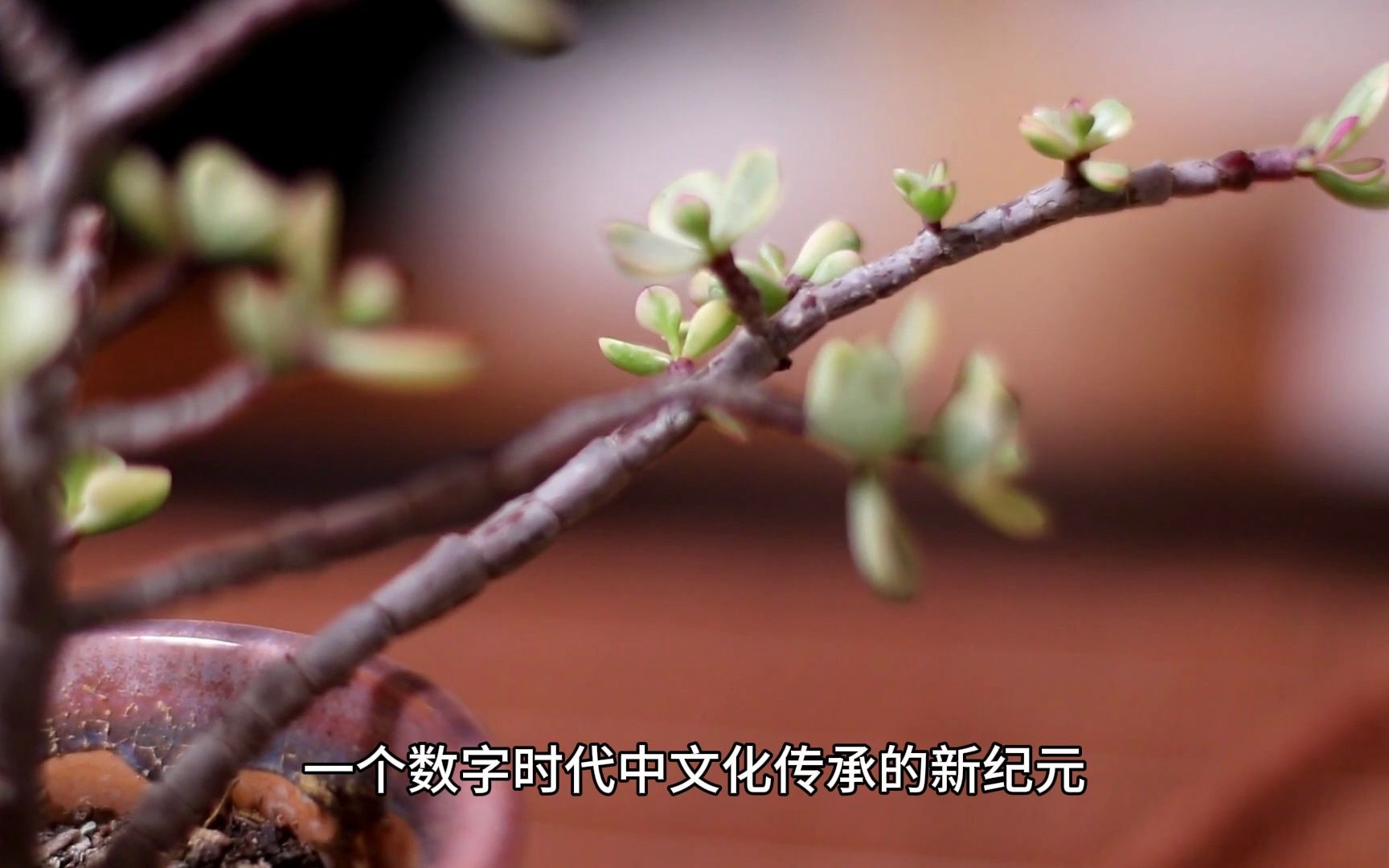 老版国富产二代APP，传承与创新并行的数字时代新篇章