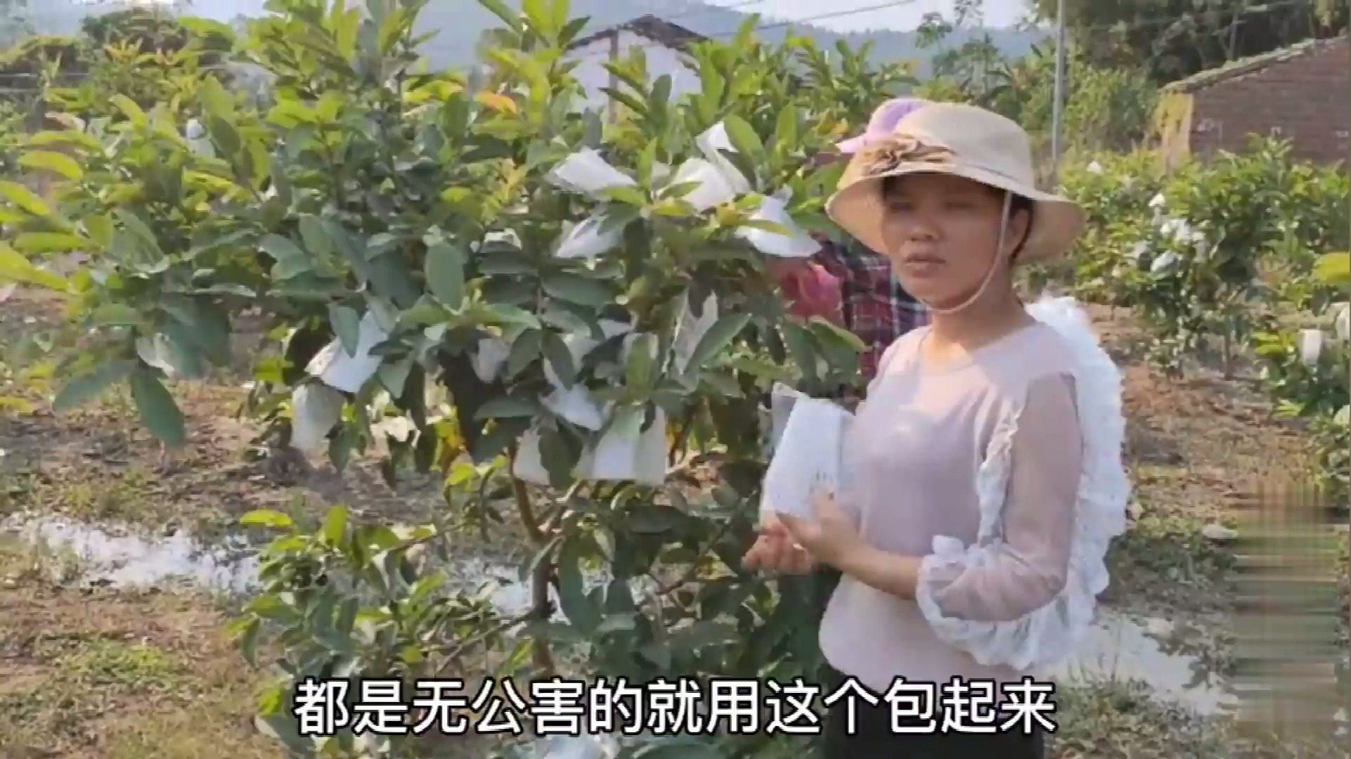 芭乐视频app下载安装下载免费芭乐视频app下载安装教程及免费获取途径